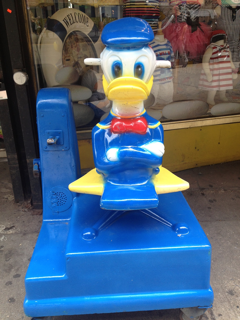 Insufferable Eastern Red Bow Tie Duck Anas asshatus