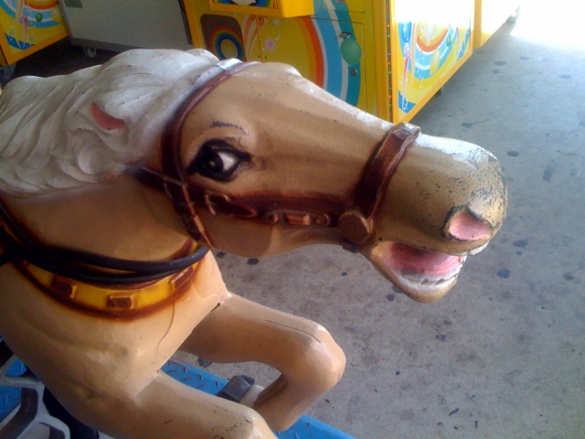 Wild Coney Island Horse Equus lunaparkus