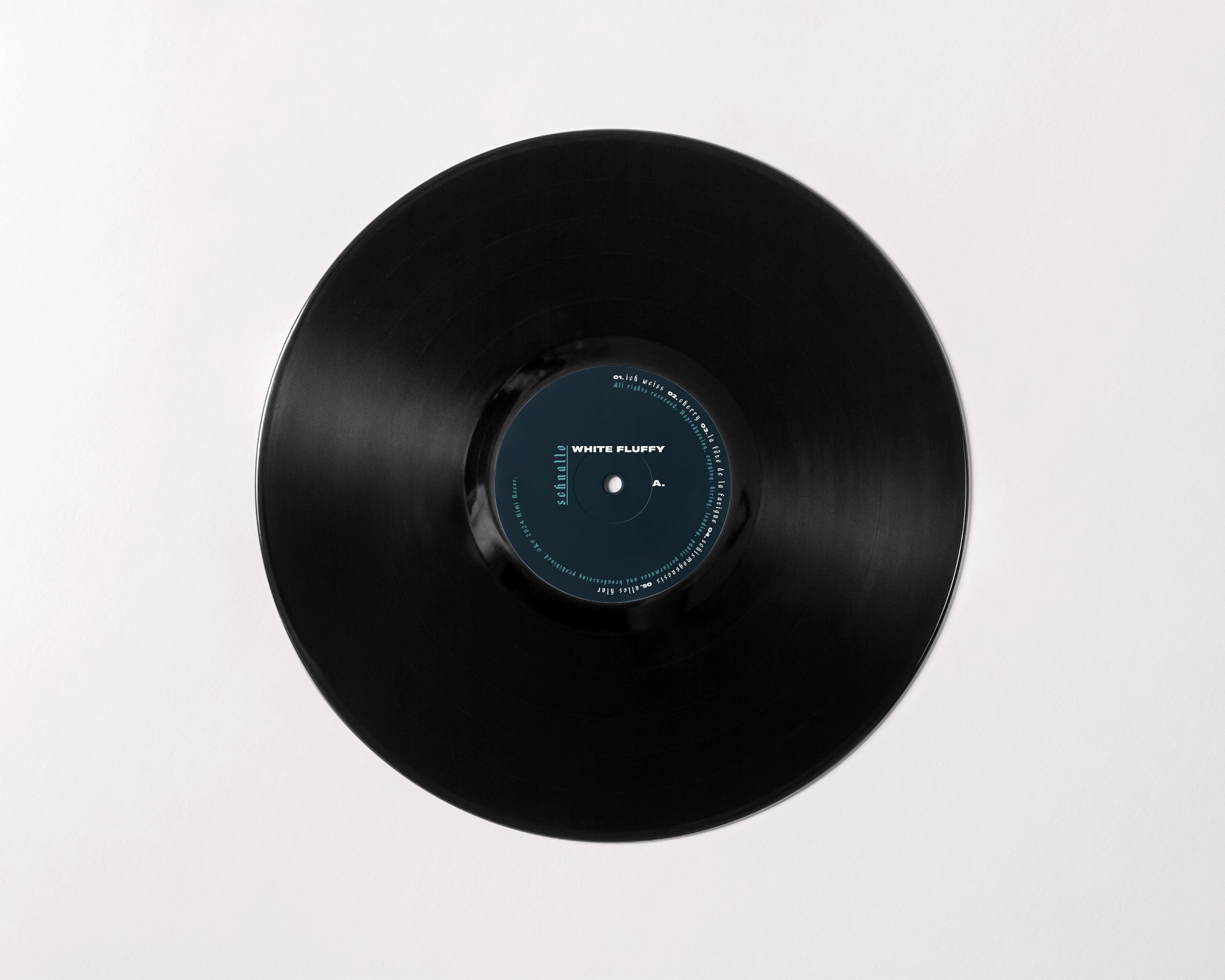 vinyl01.jpg