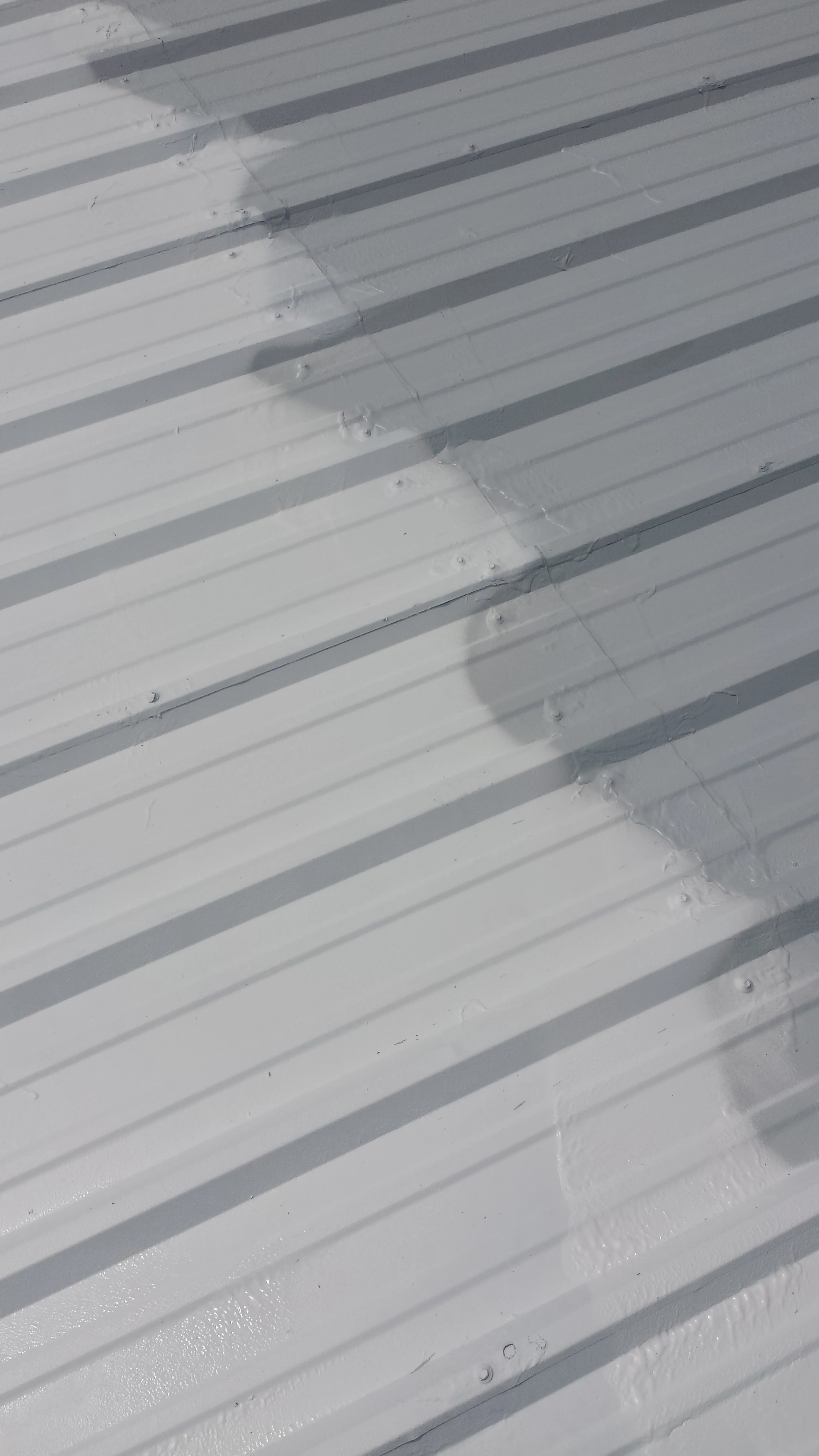 Roof Coating