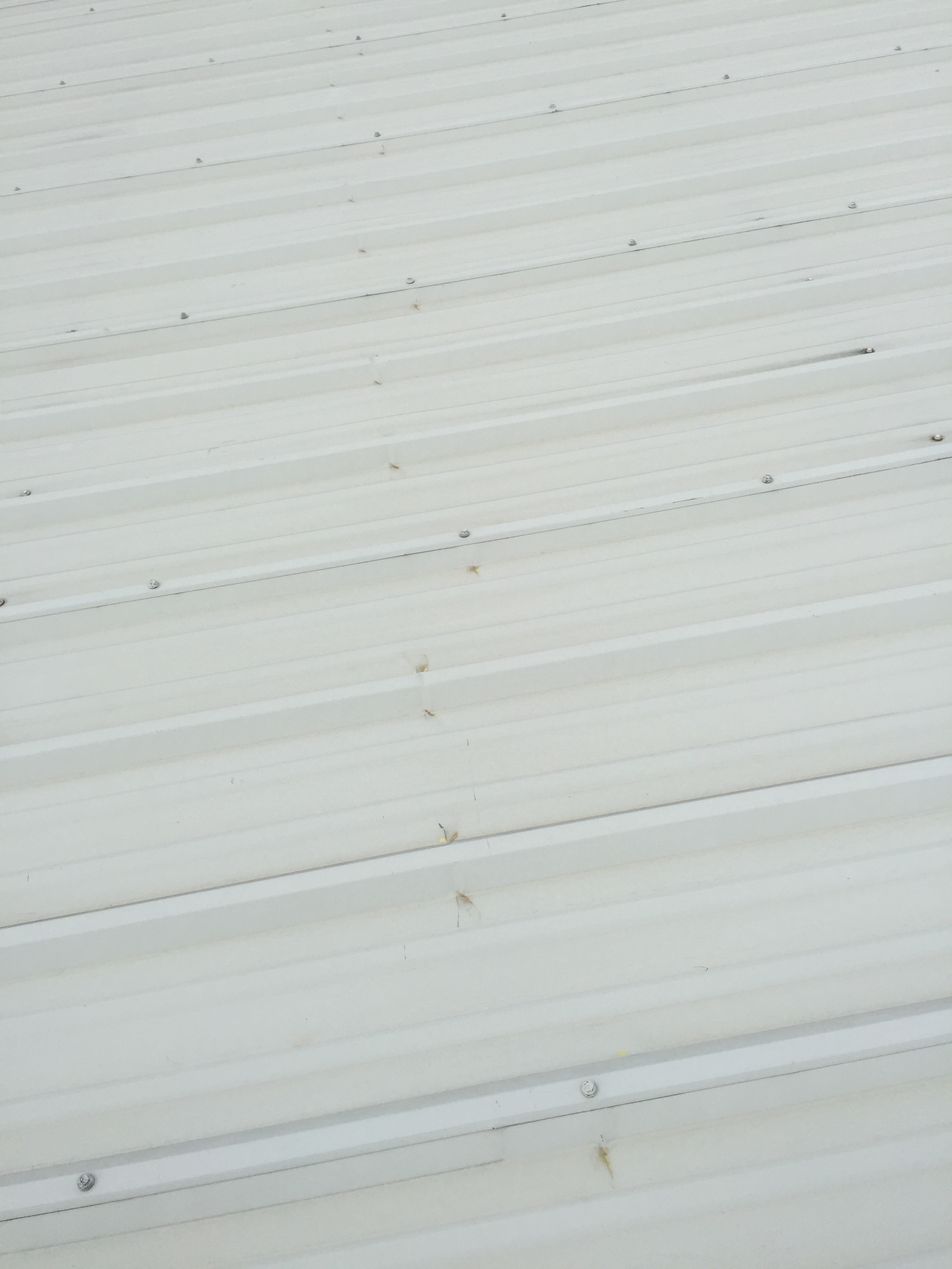 New warehouse roof