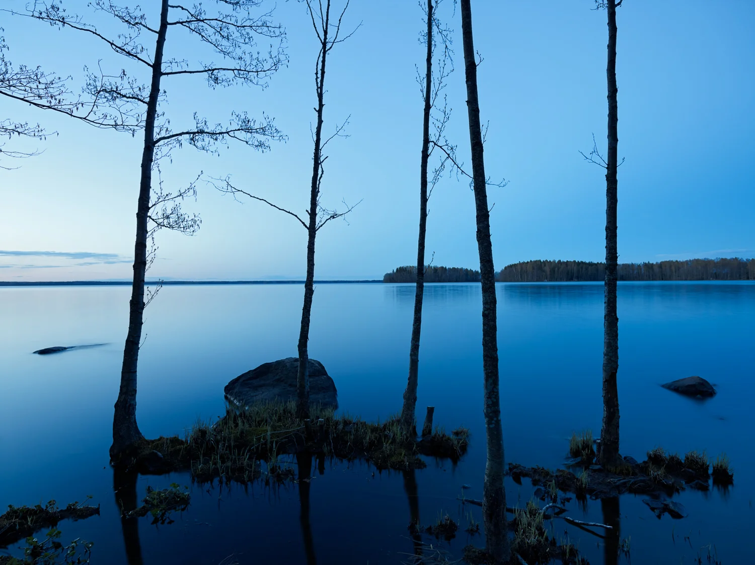 Sääksjärvi, 2014