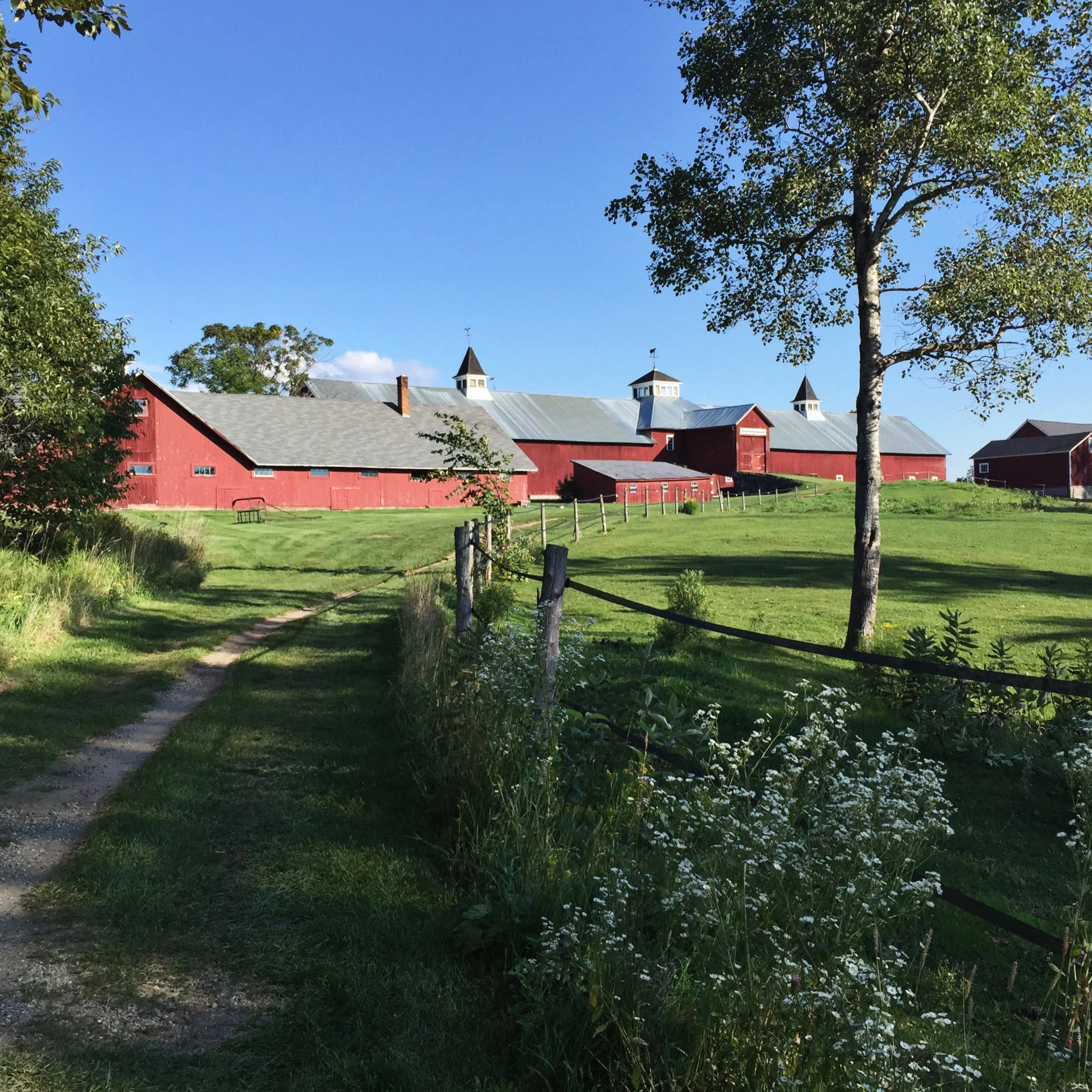 Postcard from East Burke, Vermont