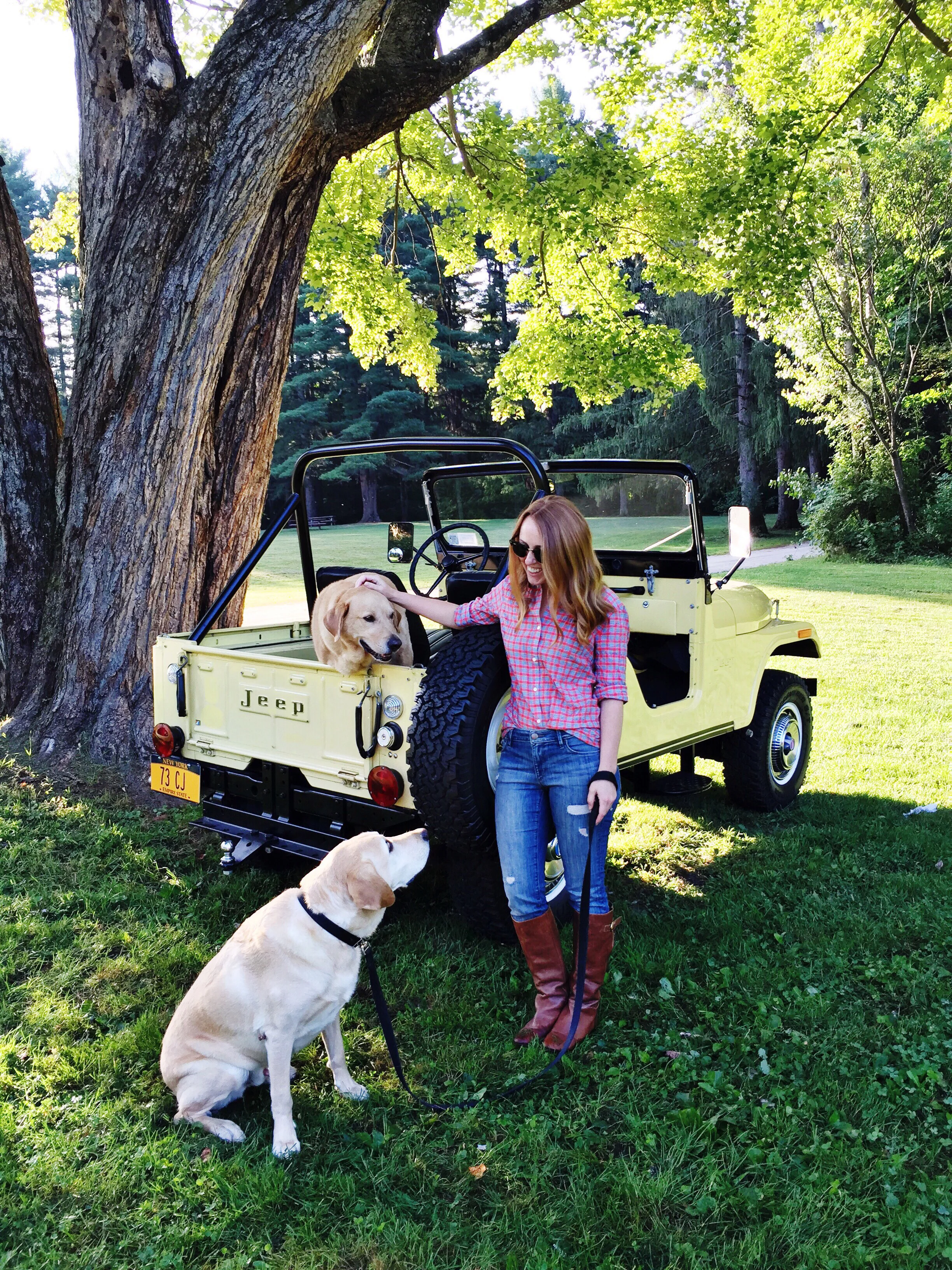 Pups and Plaid with J. McLaughlin