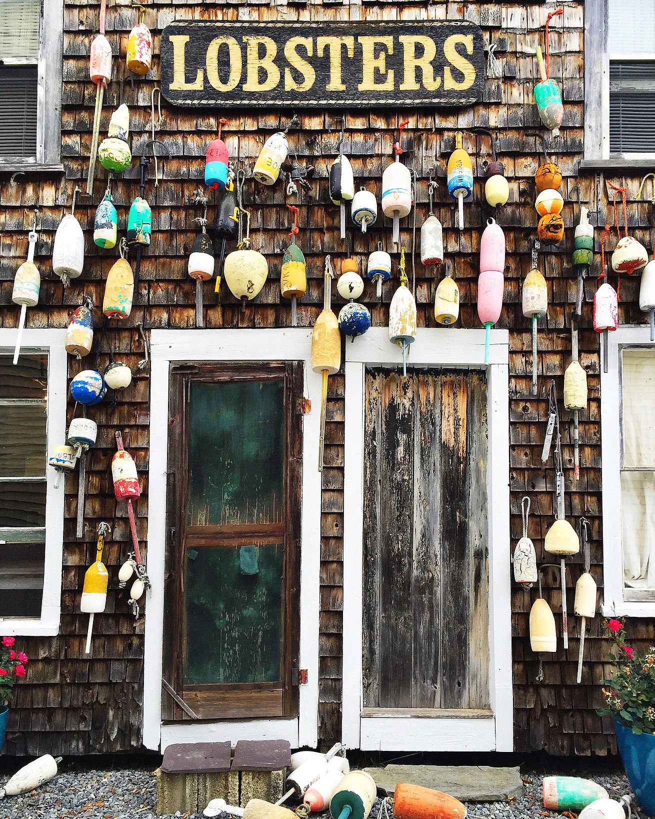Postcard from Maine
