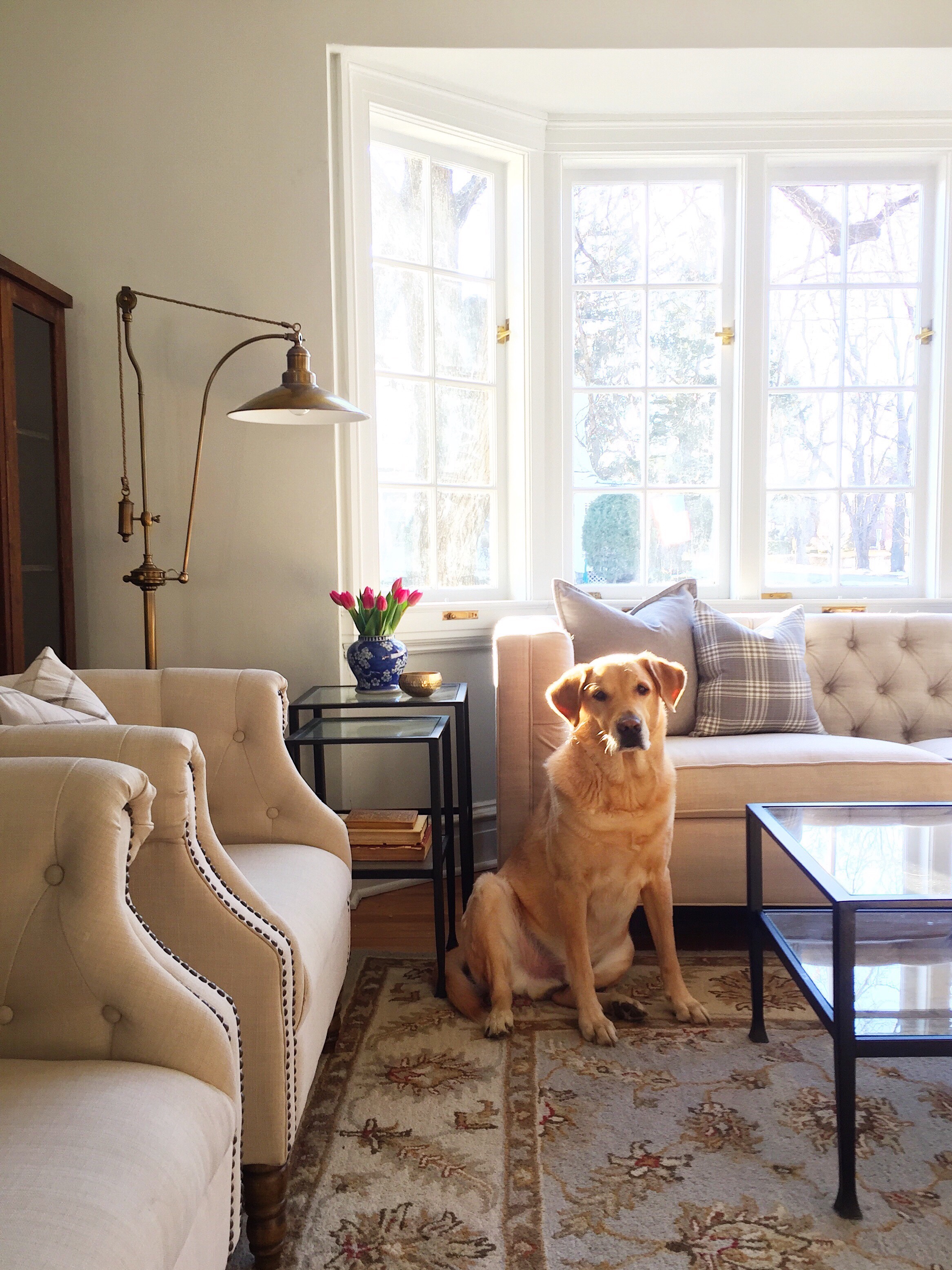 Sofa / Lamp / Coffee Table / Side Table / Velvet Pillow /