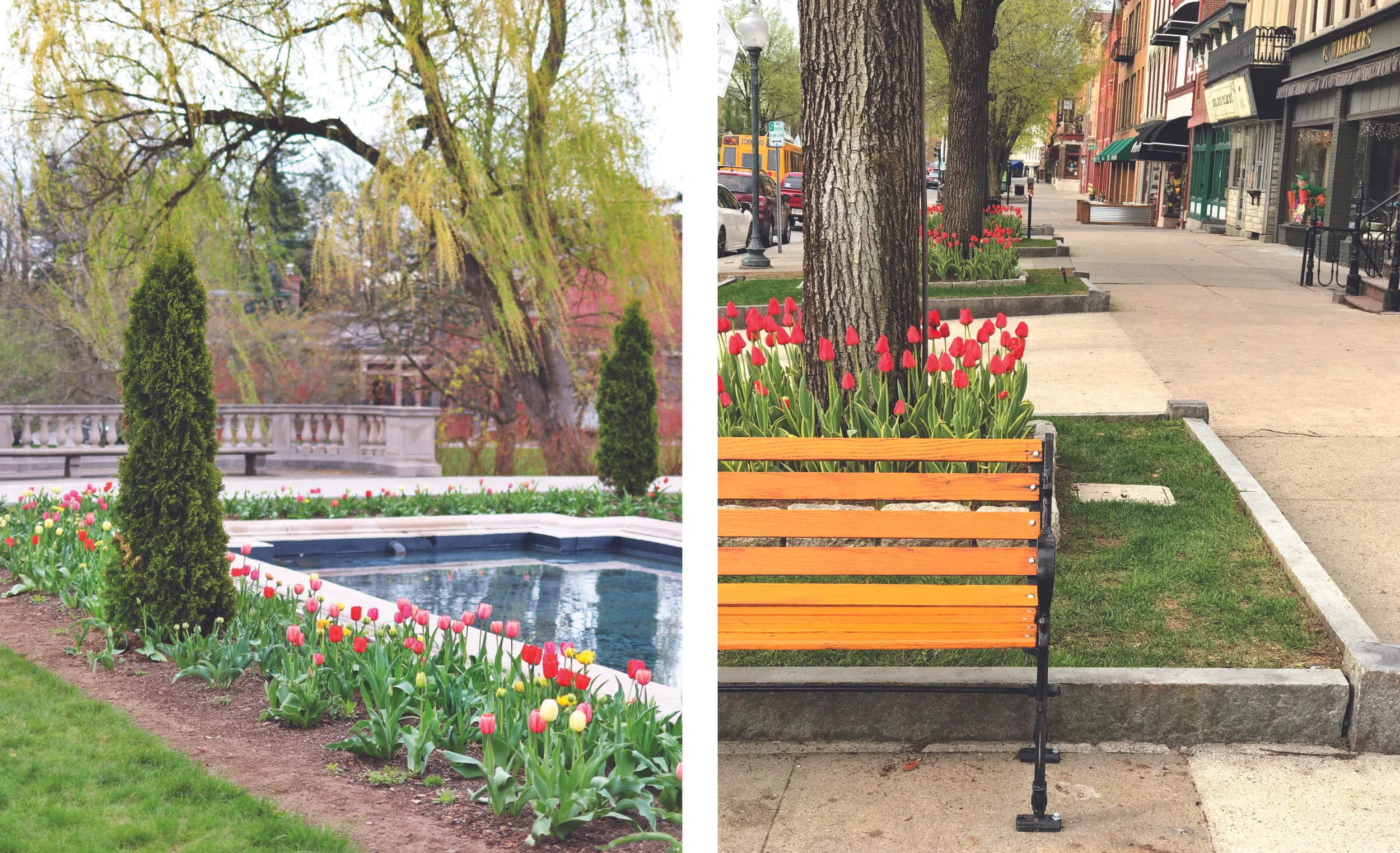 Saratoga Broadway Guide.jpg