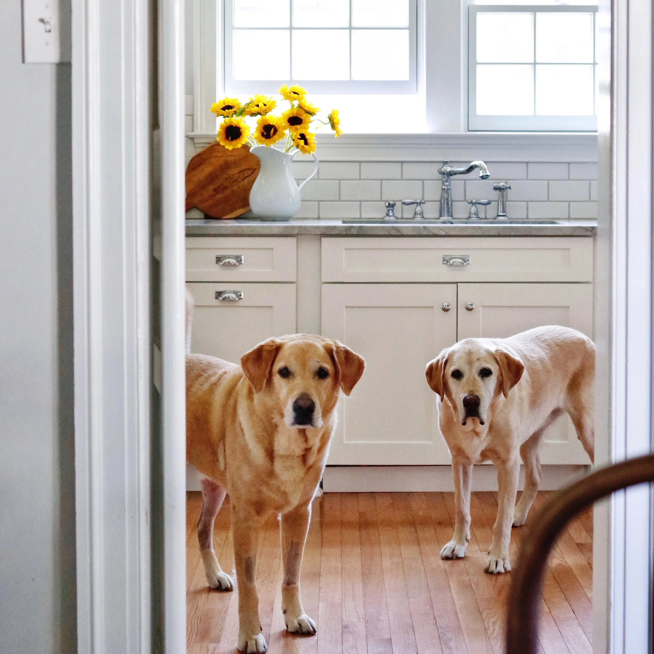 At Home: The Before Tour