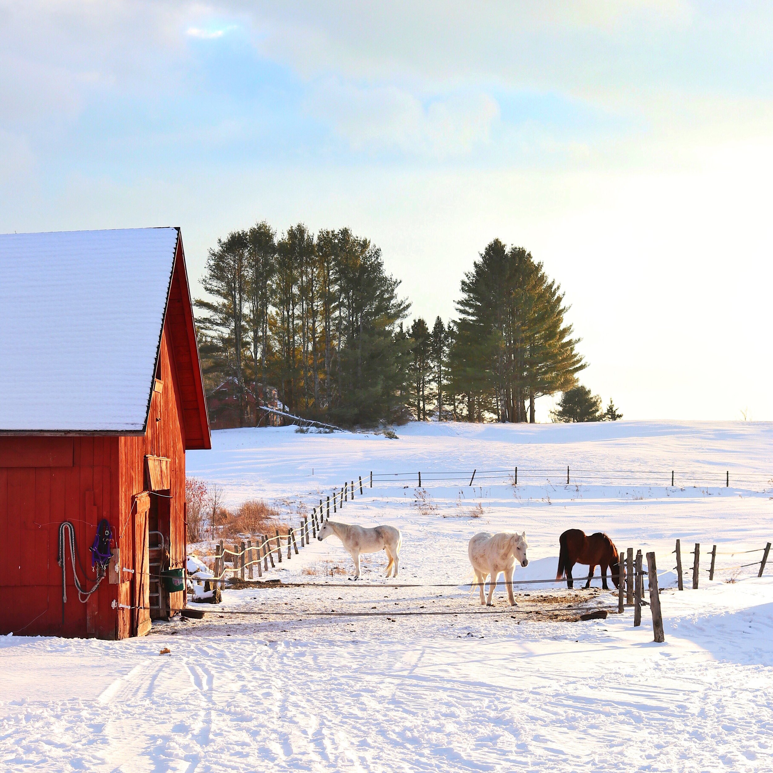 Inn at Mountain View Farm