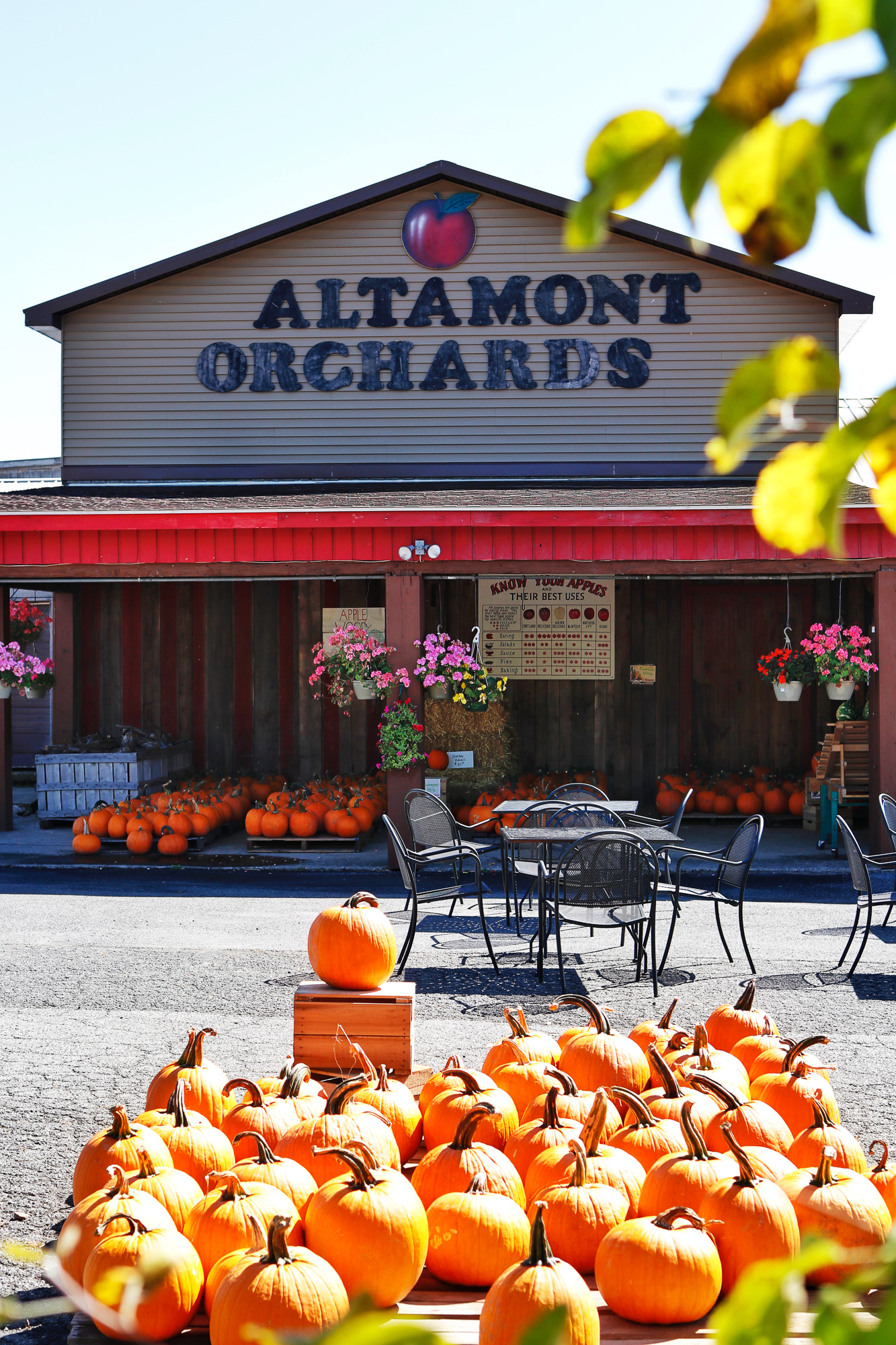 Albany - Altamont Orchard.jpg