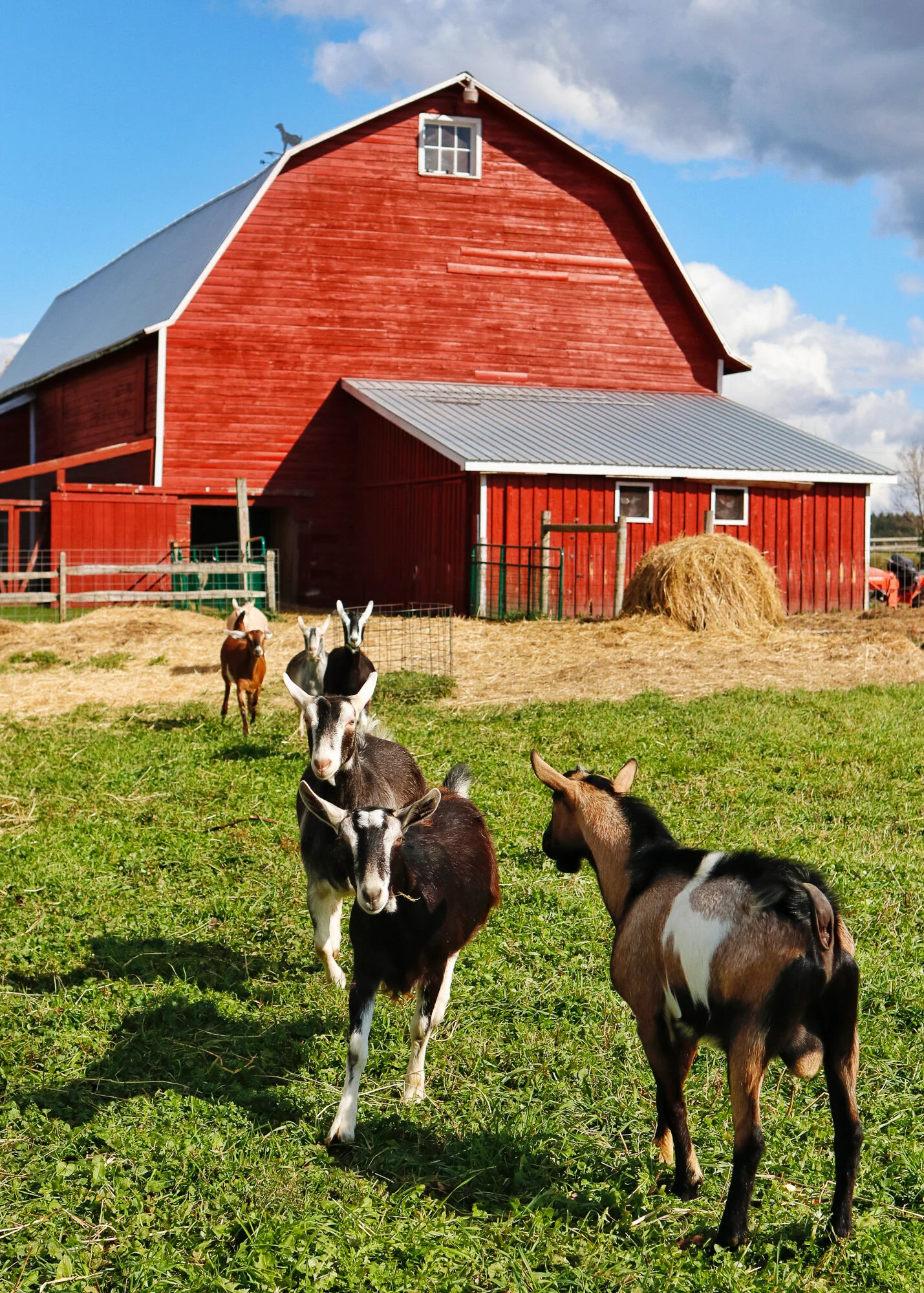 An Afternoon in Sharon Springs with Beekman 1802 — THE YELLOW NOTE