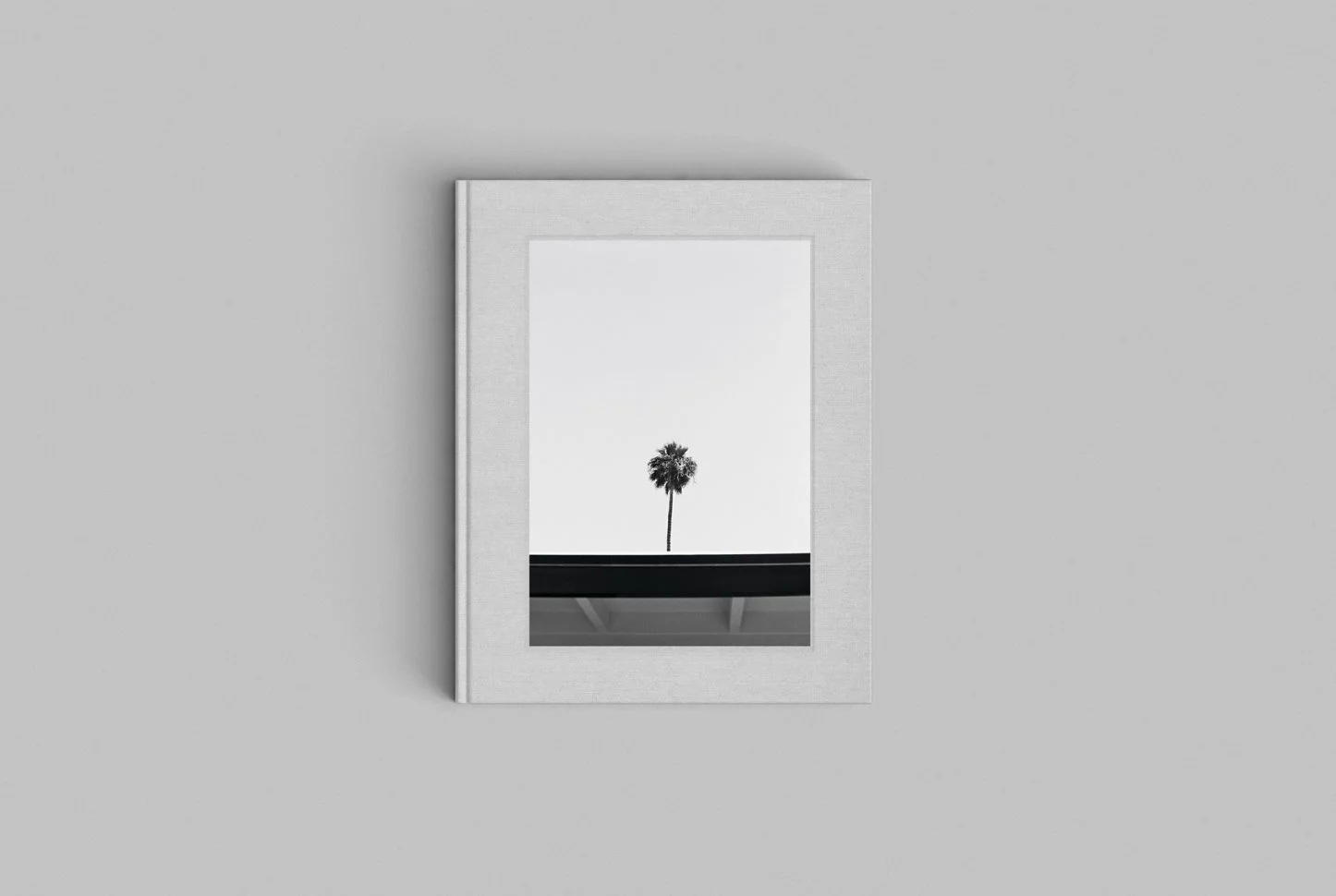 PALM-1-1446x970.jpg