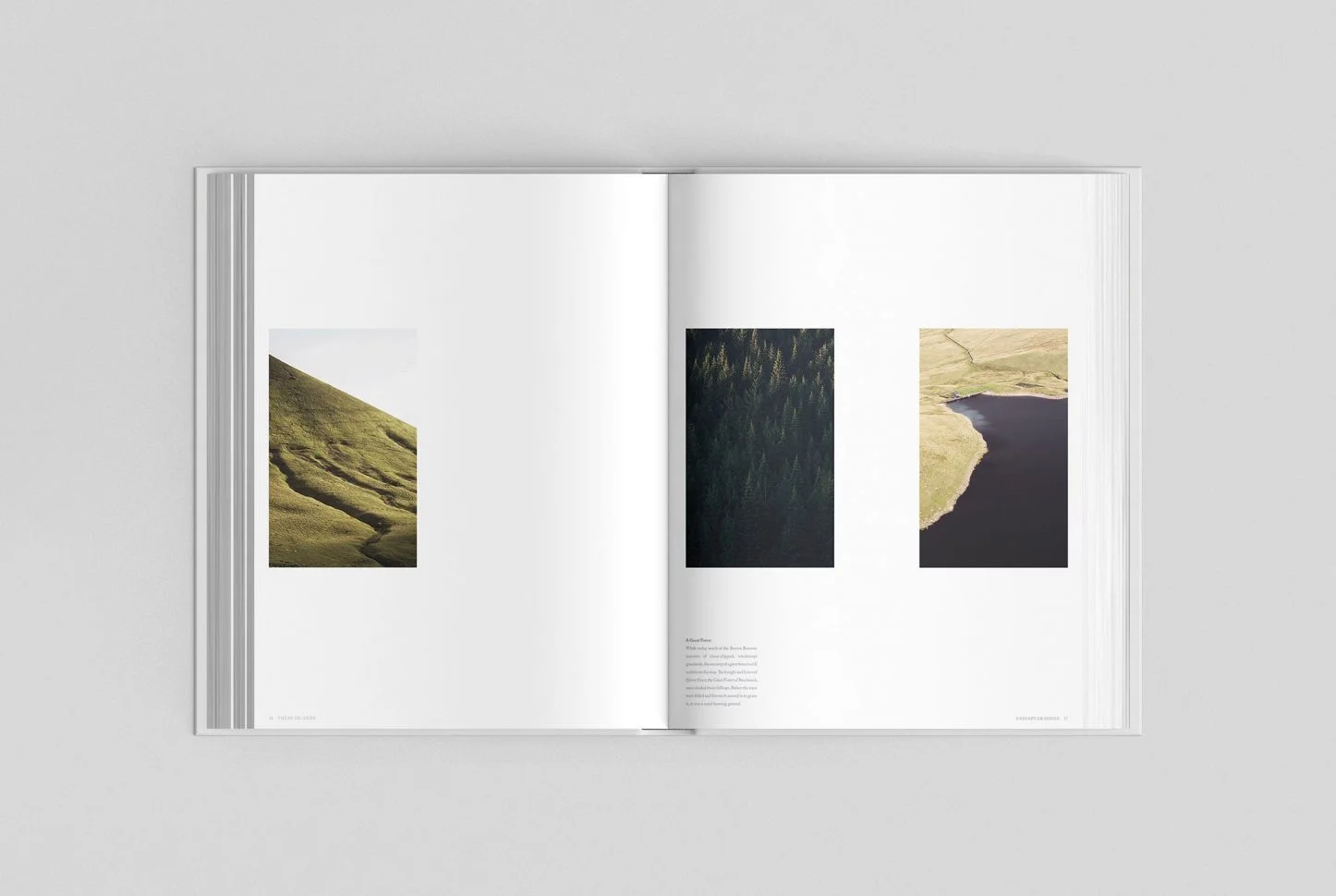 Thses Islands Book by Cereal Spreads 2.jpg