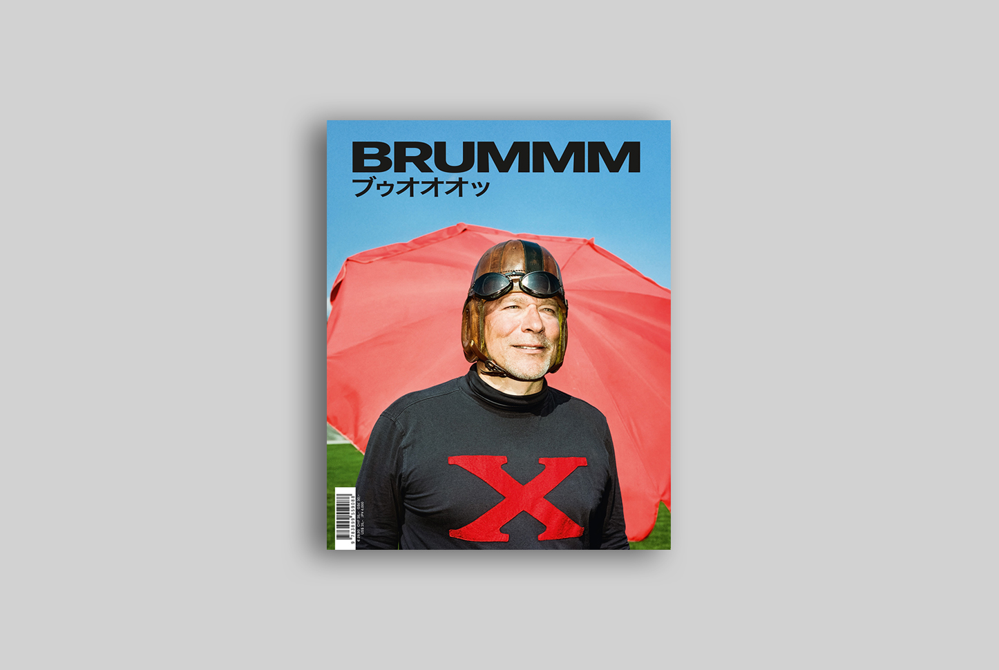Brummm Chronicles Cover.jpg