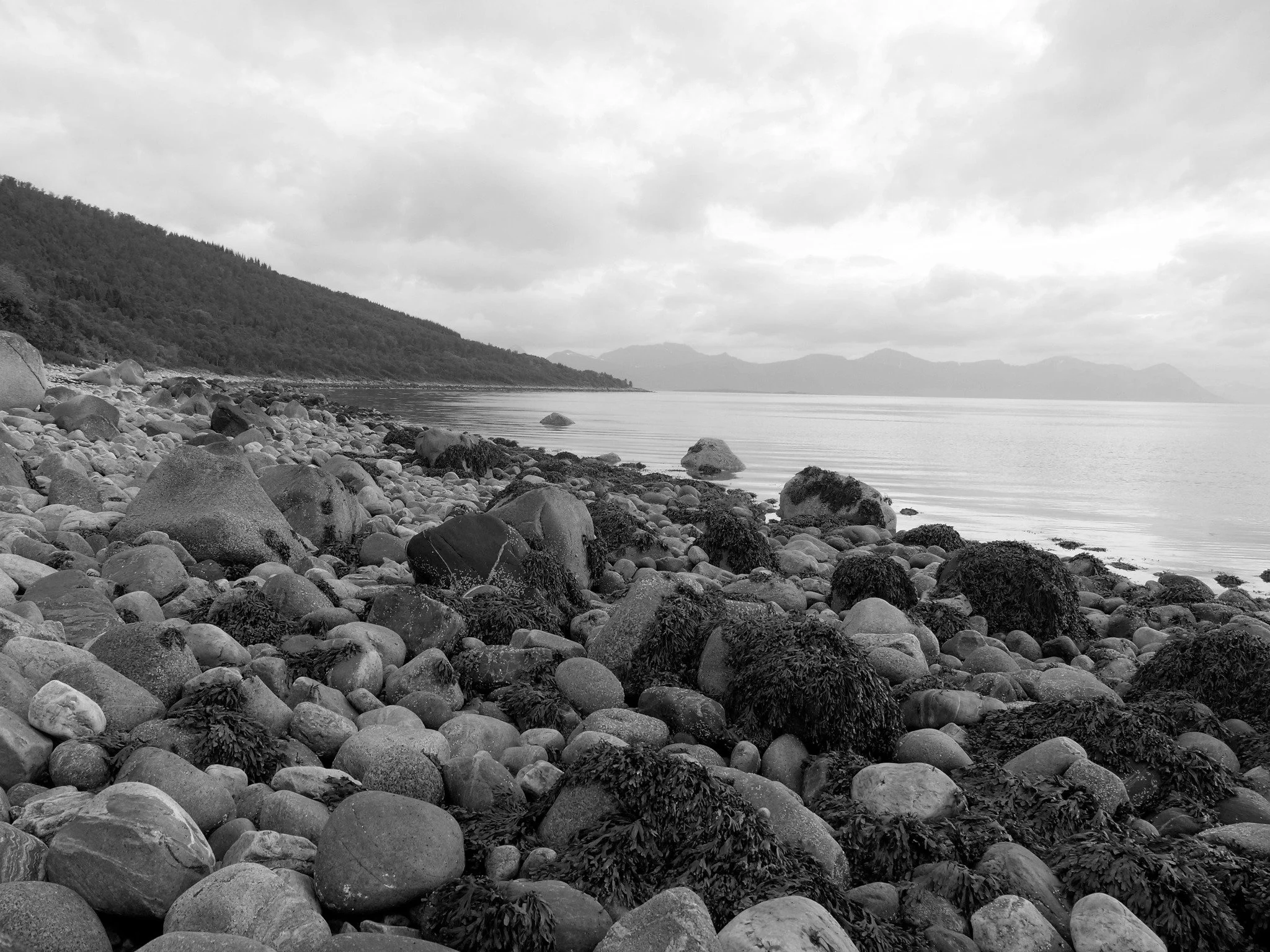 our time is now 1.jpeg