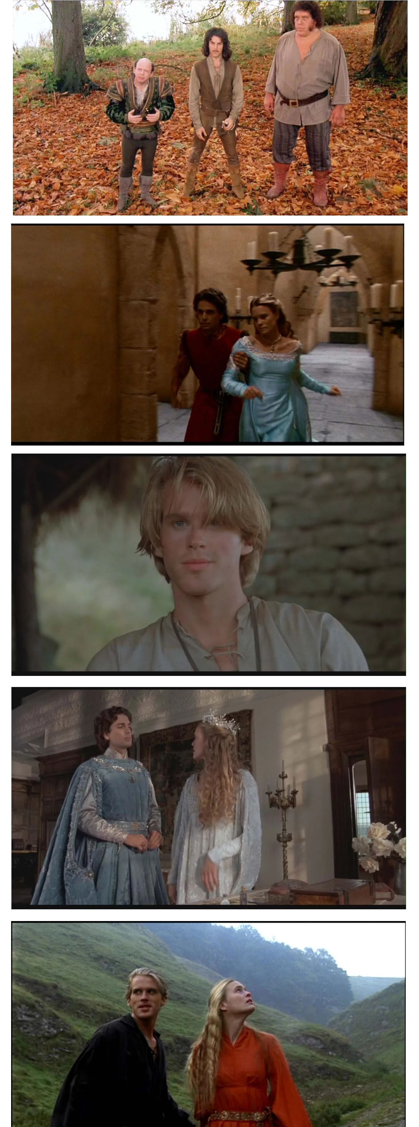 Living In - The Princess Bride.jpg