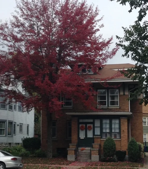 A typical Buffalo Fall house in all it's glory.