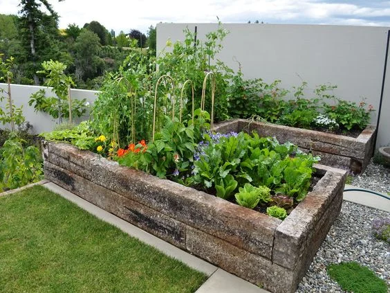 Raised beds here .