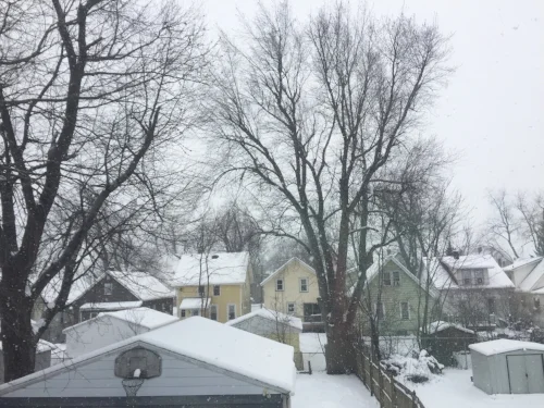 The view from my studio. Still snowing.
