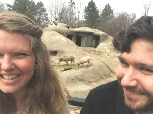 Falling in love with these Mountain Goats at the BEST ZOO DAY EVER. 