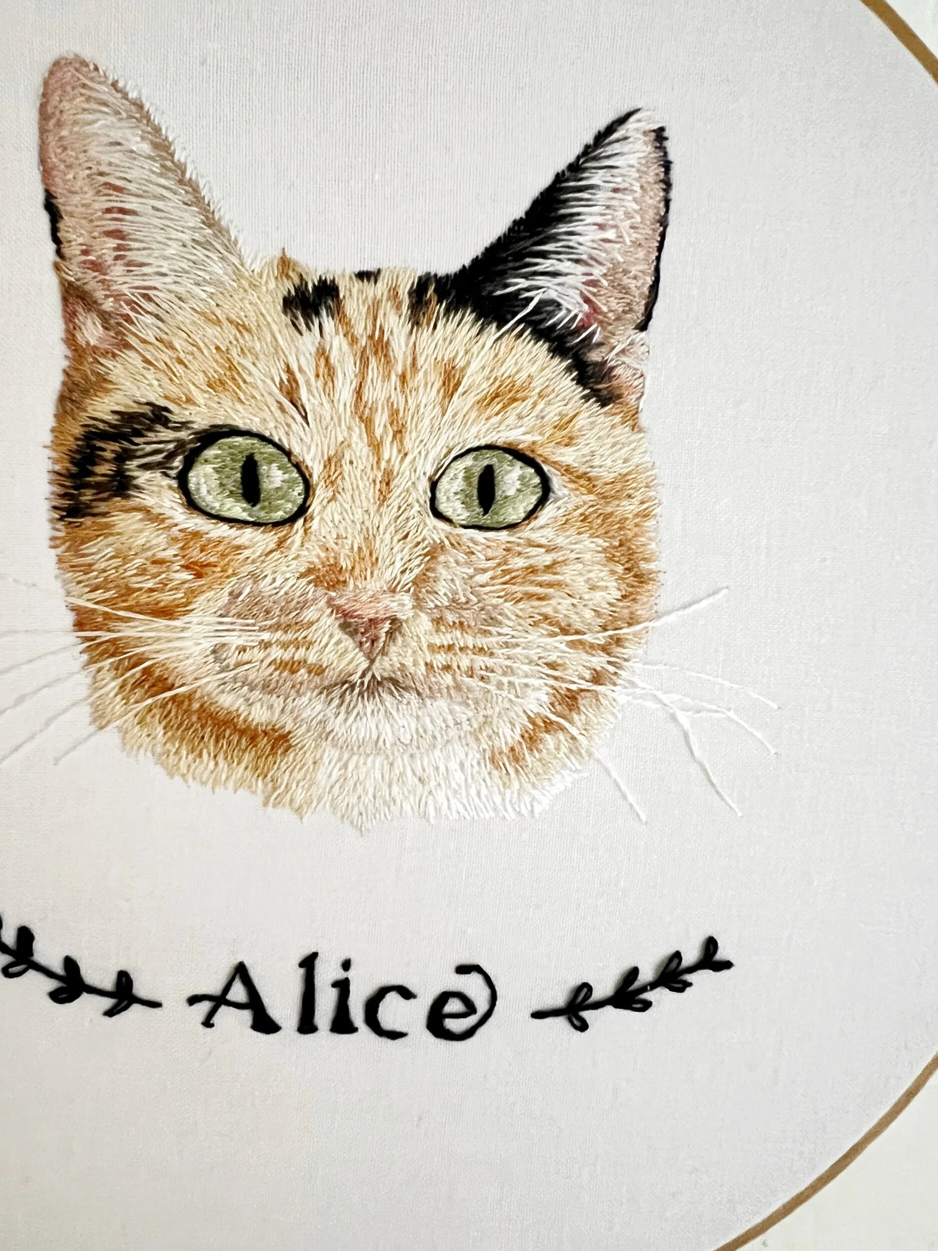 14087C5A-86A5-467C-9B95-C8B349FD99A8