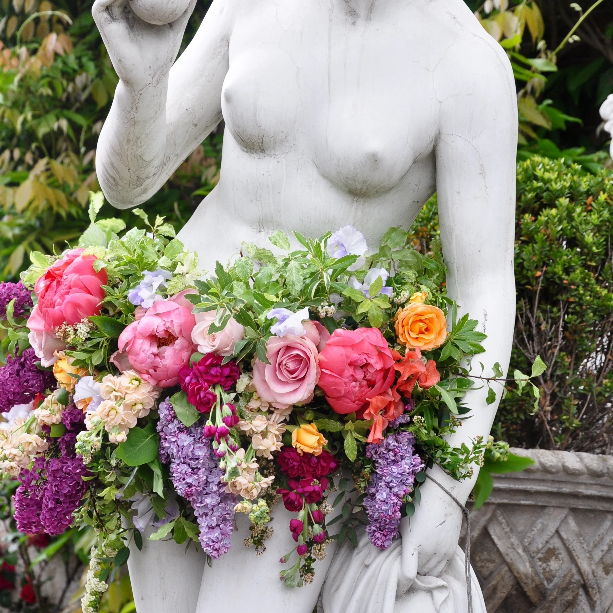 DSC_6895.jpg