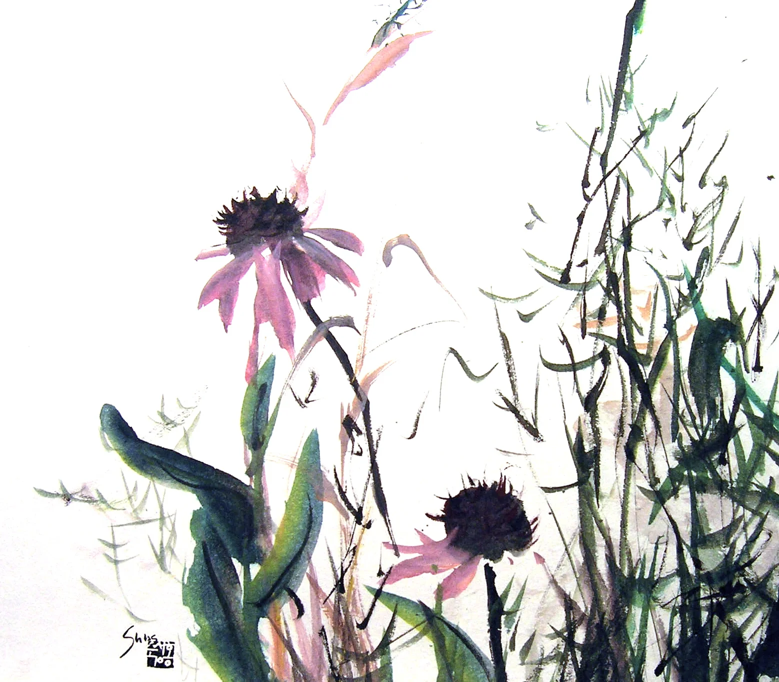 Wild Flower Garden