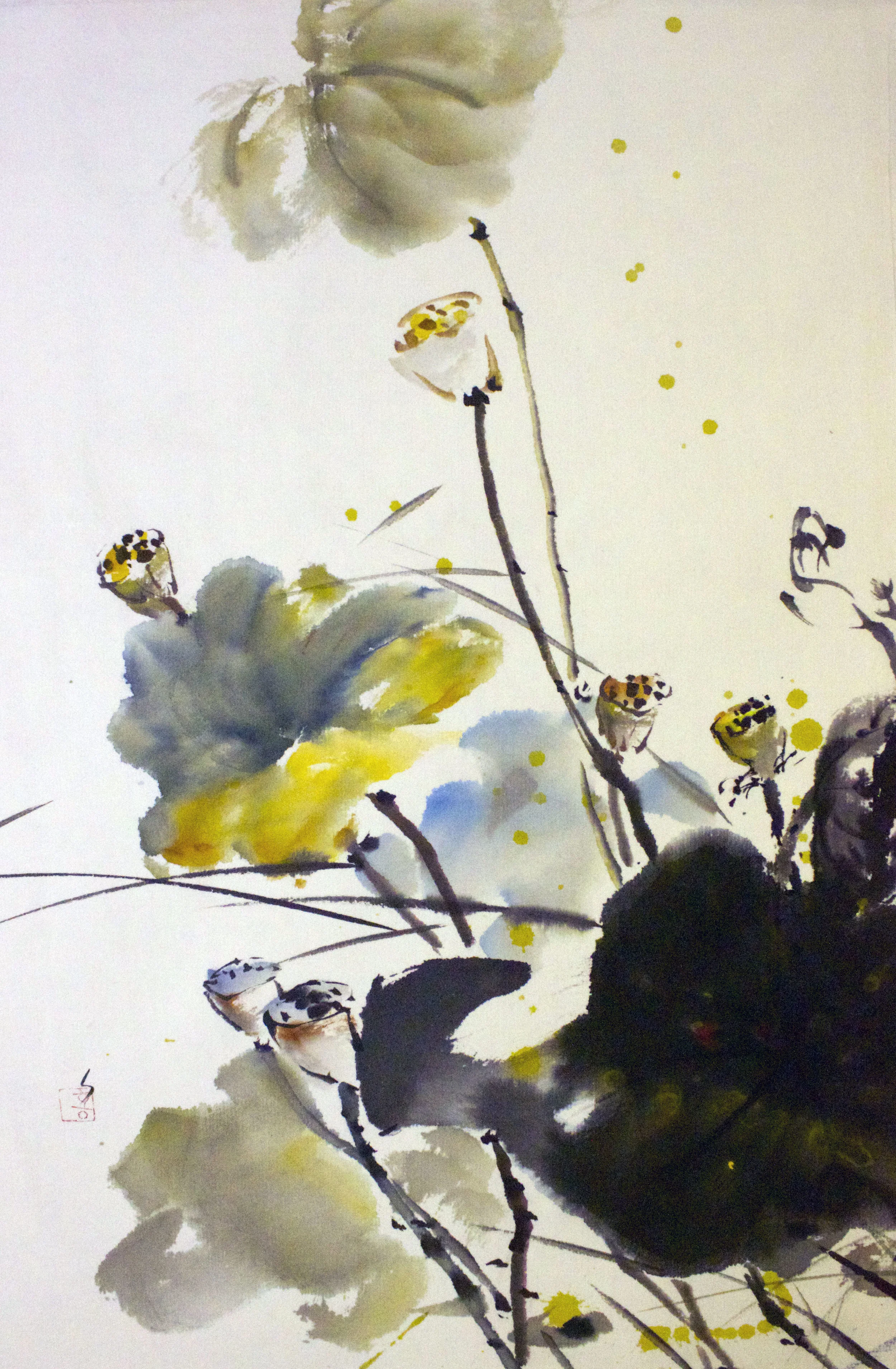Lotus Pond 2