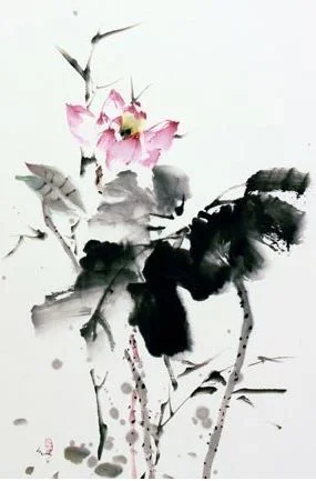 willow lotus.jpg