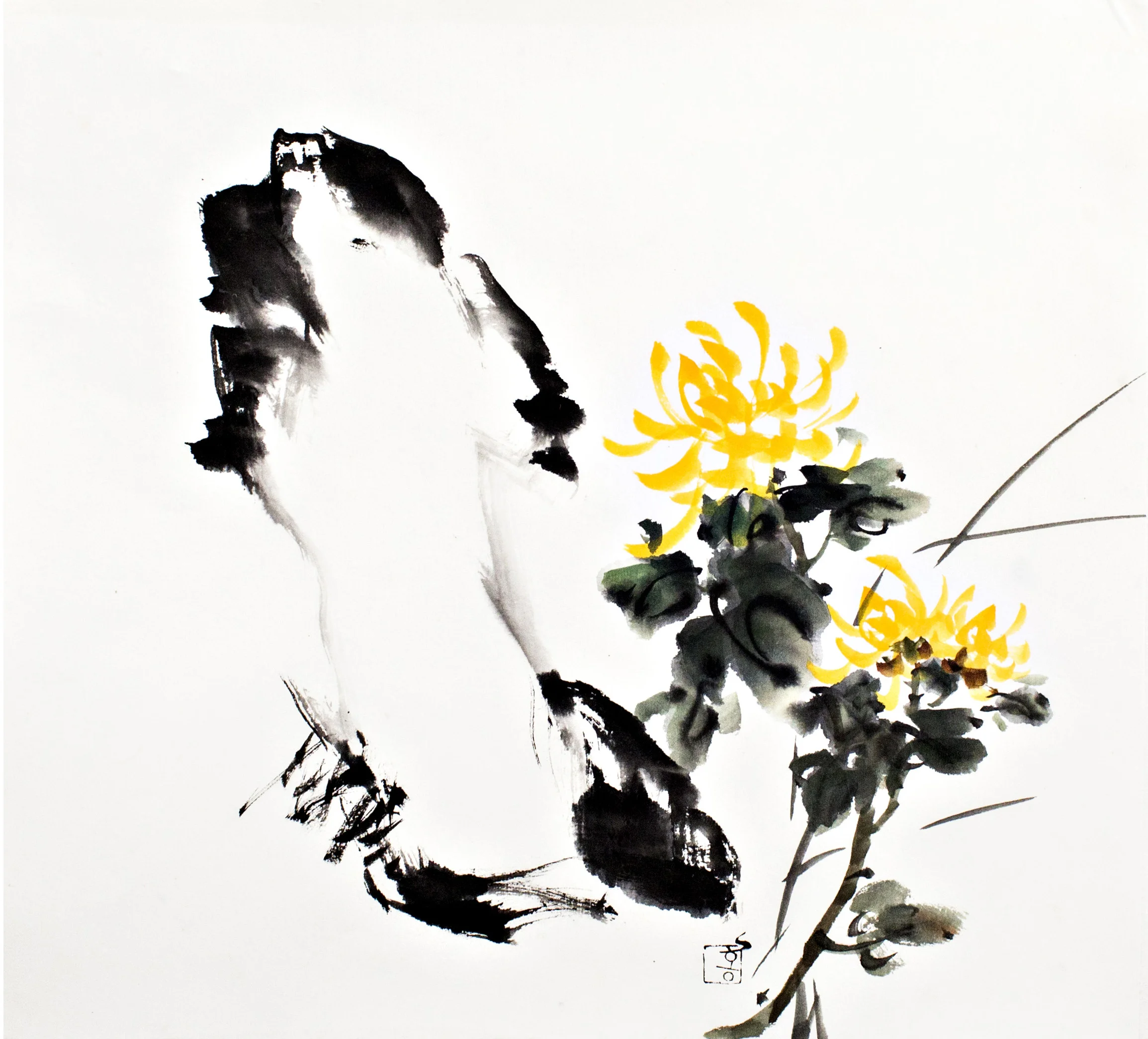 chrysanthemum.jpg