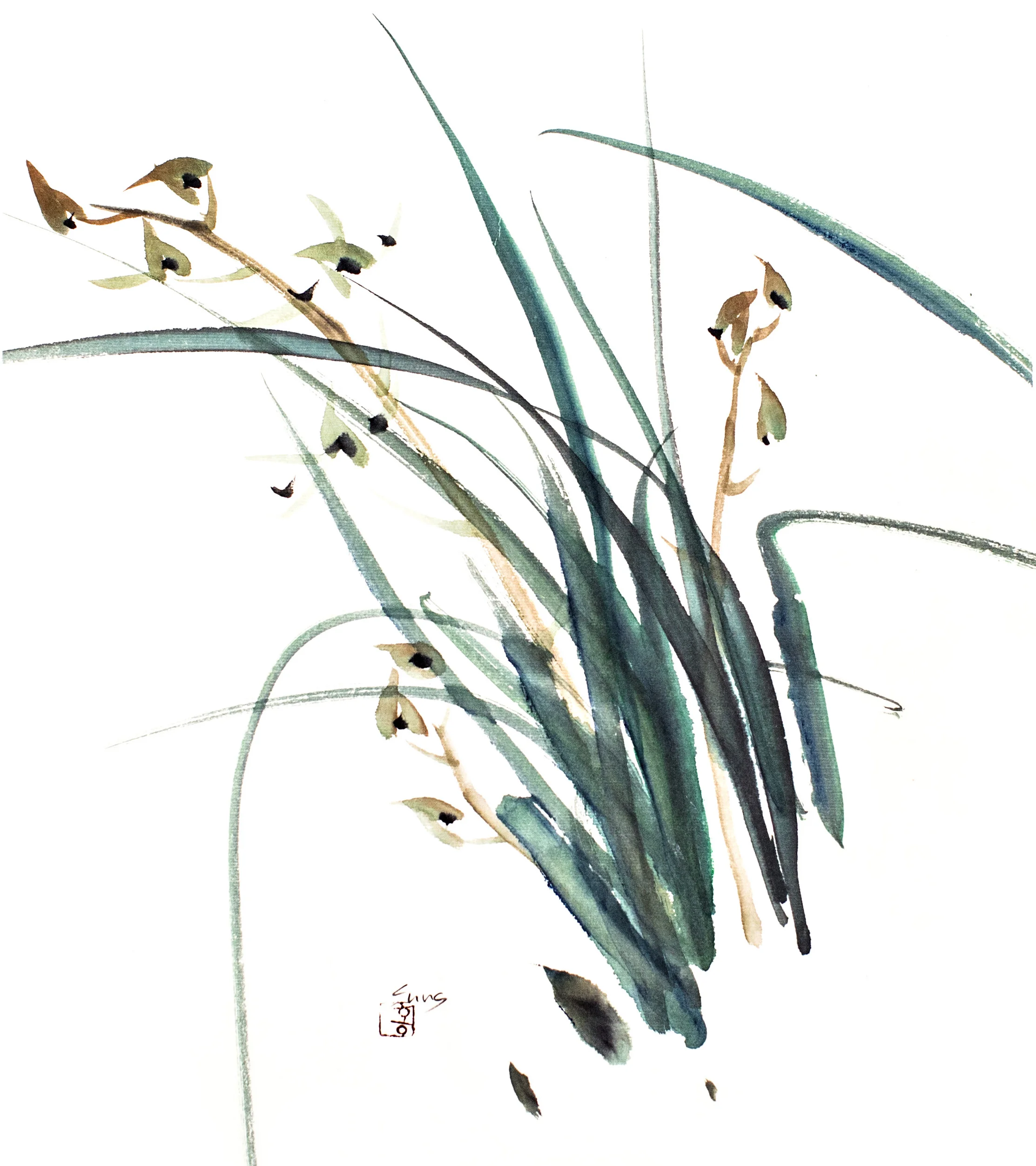orchid.jpg