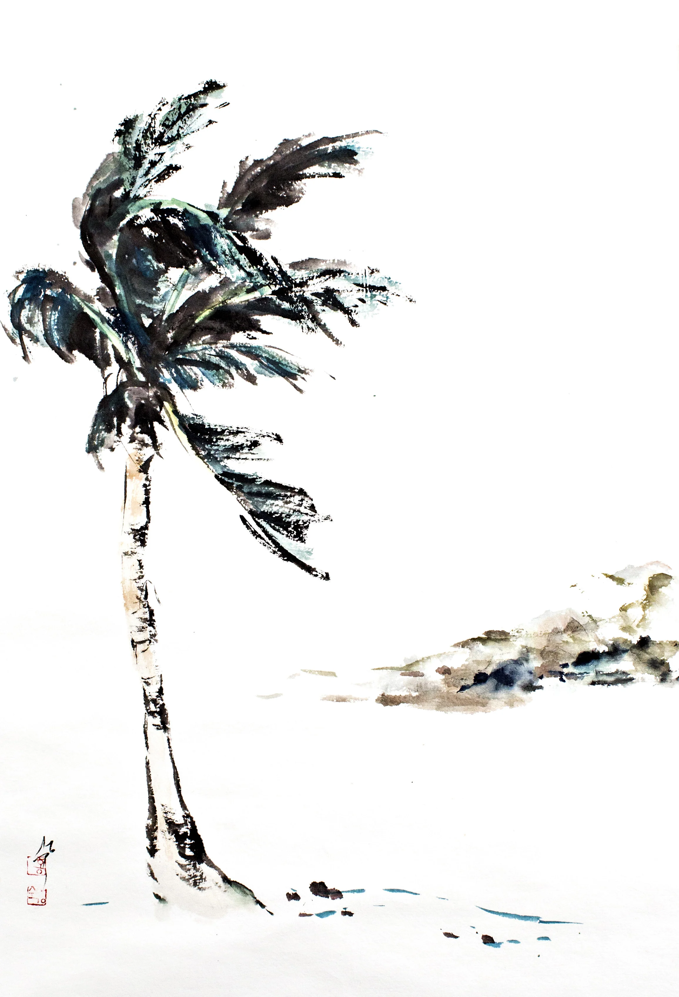 palm tree.jpg