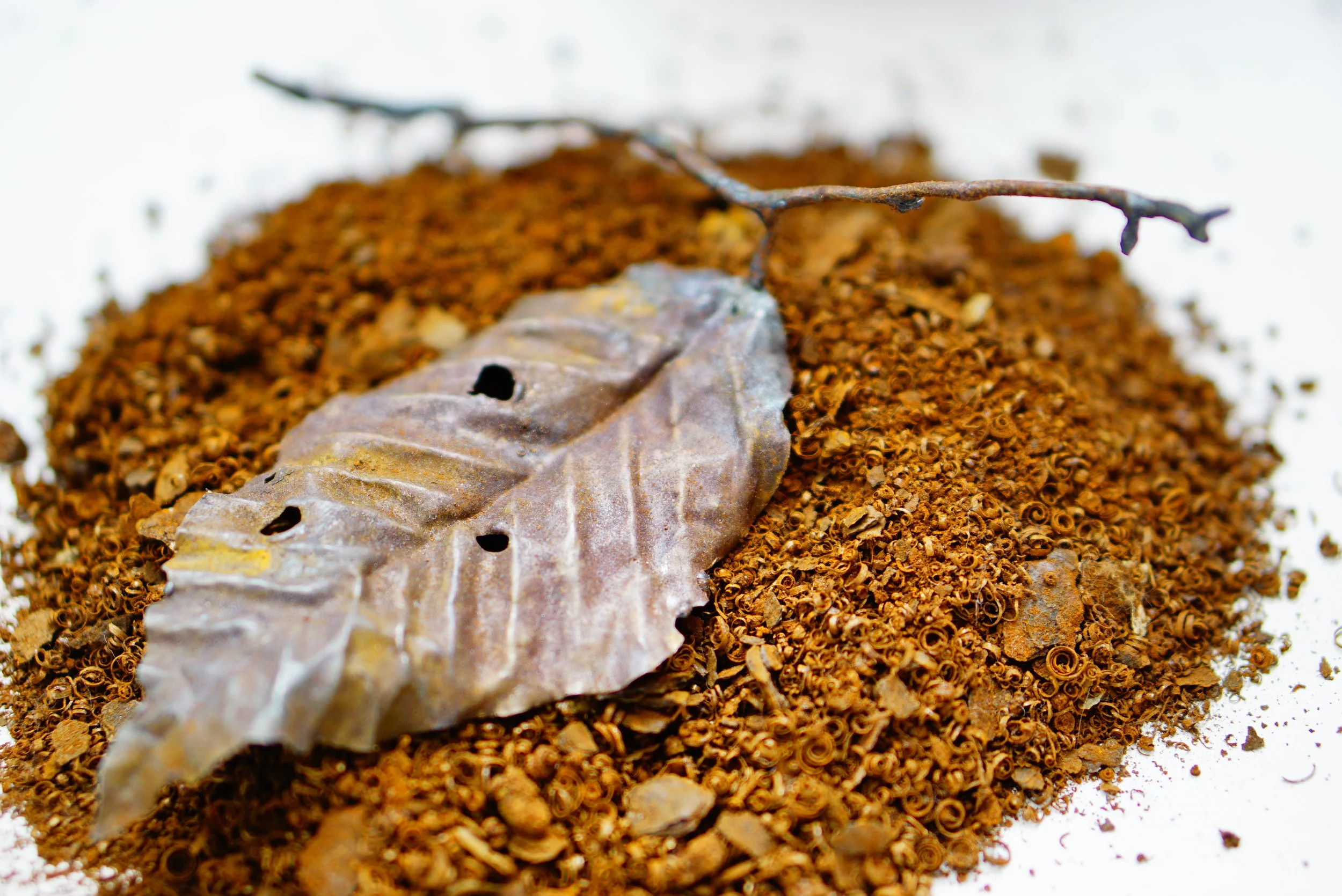 『fallen leaves -corrosion-』長坂絵夢