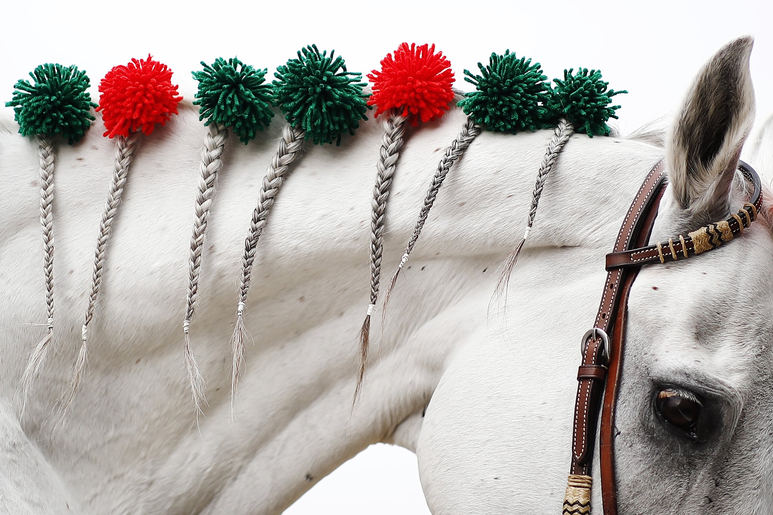  Detail of braids on the outrider's horse prior to the 154th running of the Belmont Stakes at Belmont Park on June 11, 2022 in Elmont, New York.  