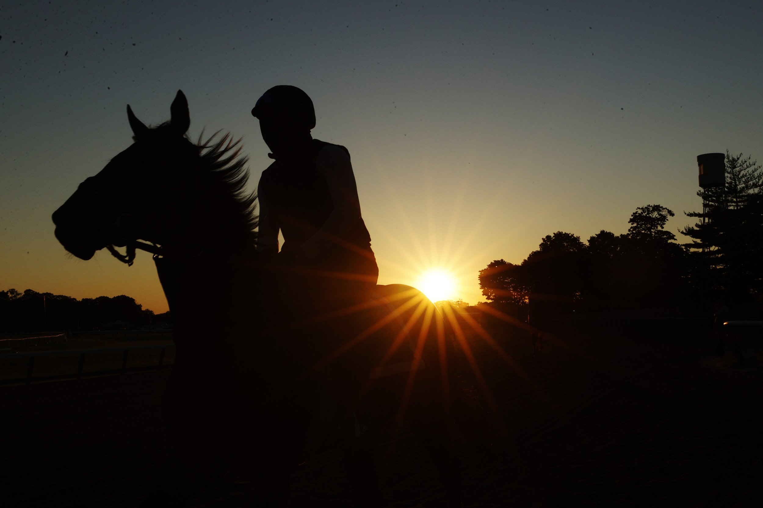  Exercise riders and horses train during a morning workout prior to the 154th running of the Belmont Stakes at Belmont Park on June 10, 2022 in Elmont, New York. 