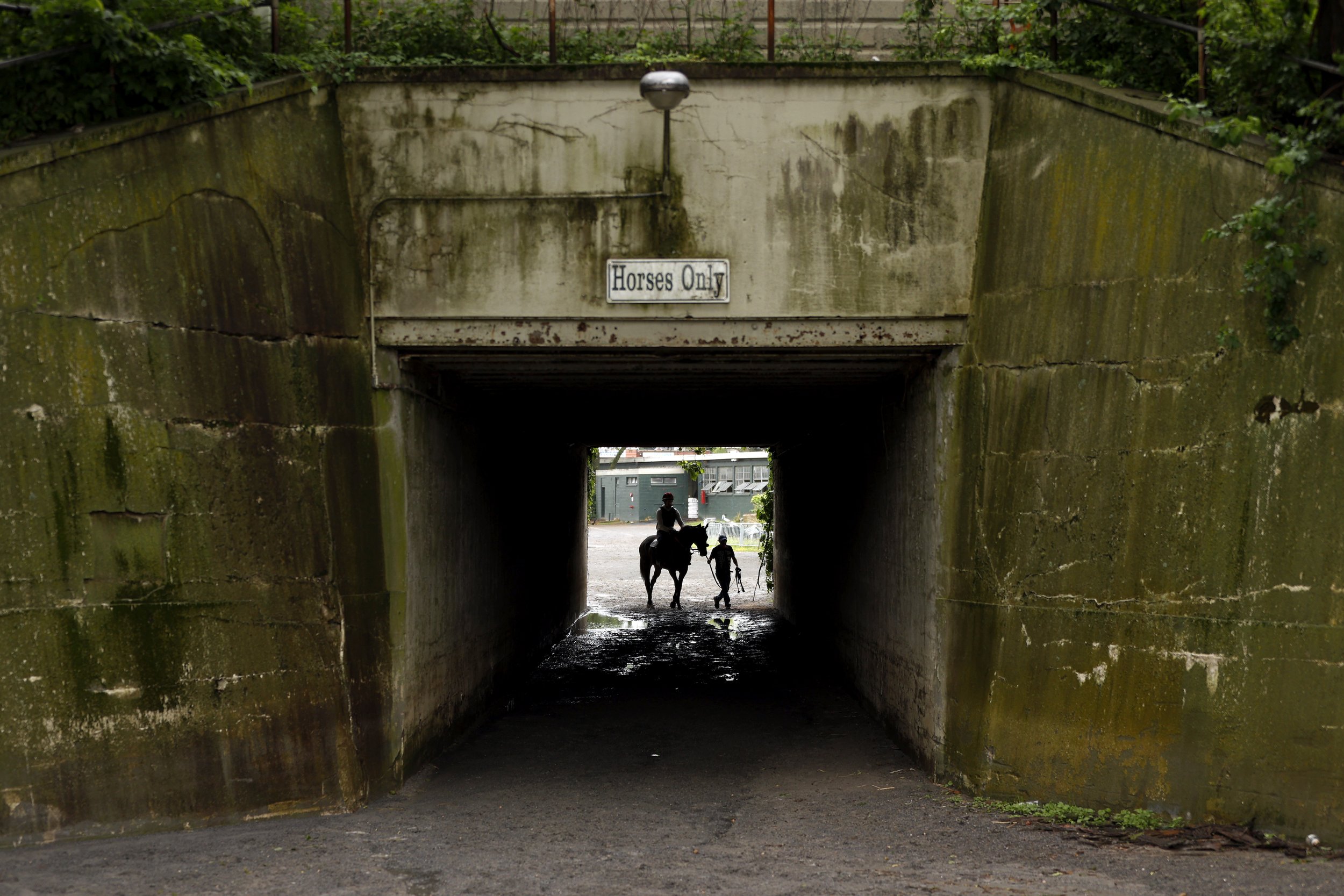  Exercise riders and horses walk to the barns after a morning workout prior to the 154th running of the Belmont Stakes at Belmont Park on June 09, 2022 in Elmont, New York. 