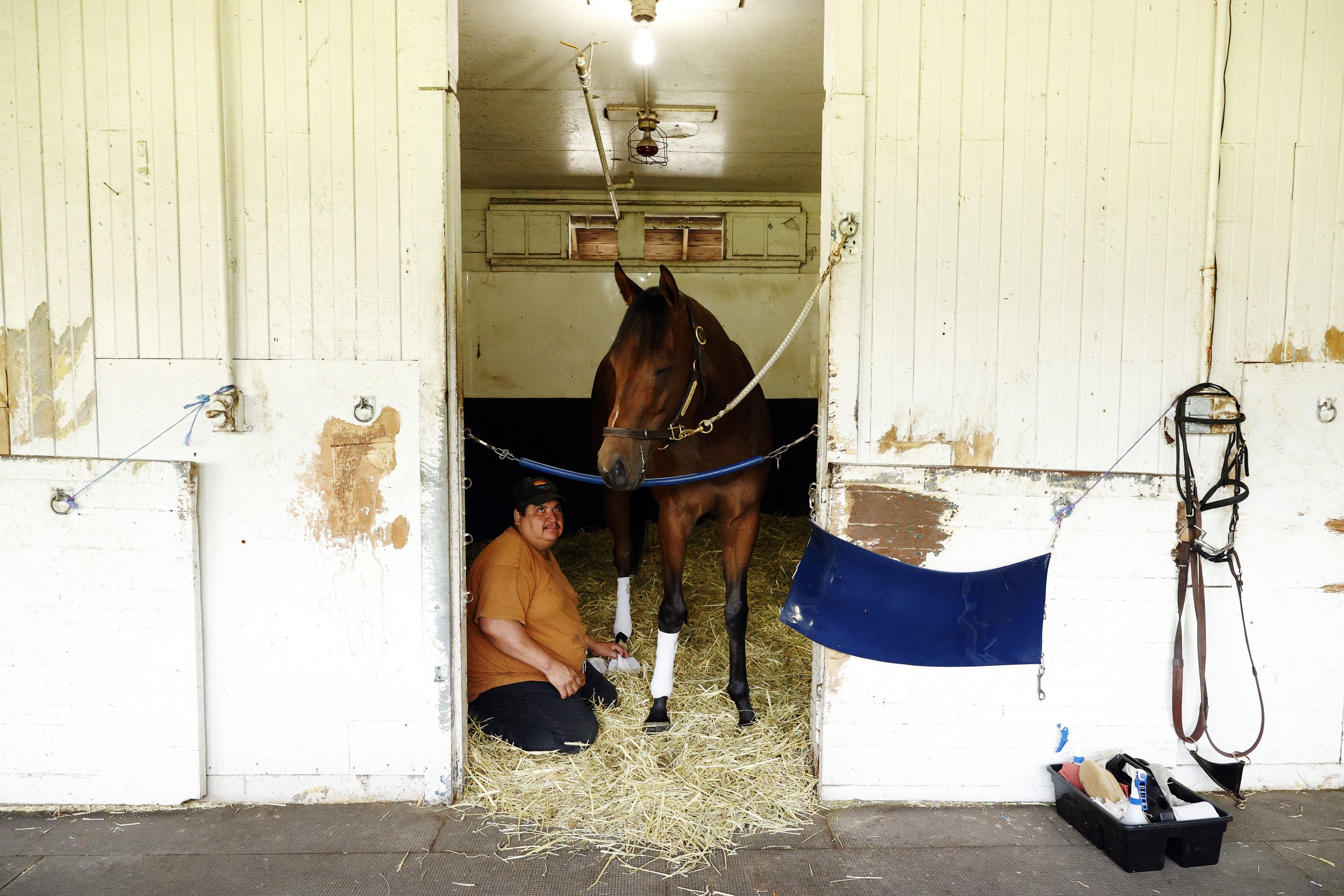  A stable hand wraps a horse's legs in a barn during a morning workout prior to the 154th running of the Belmont Stakes at Belmont Park on June 07, 2022 in Elmont, New York. 