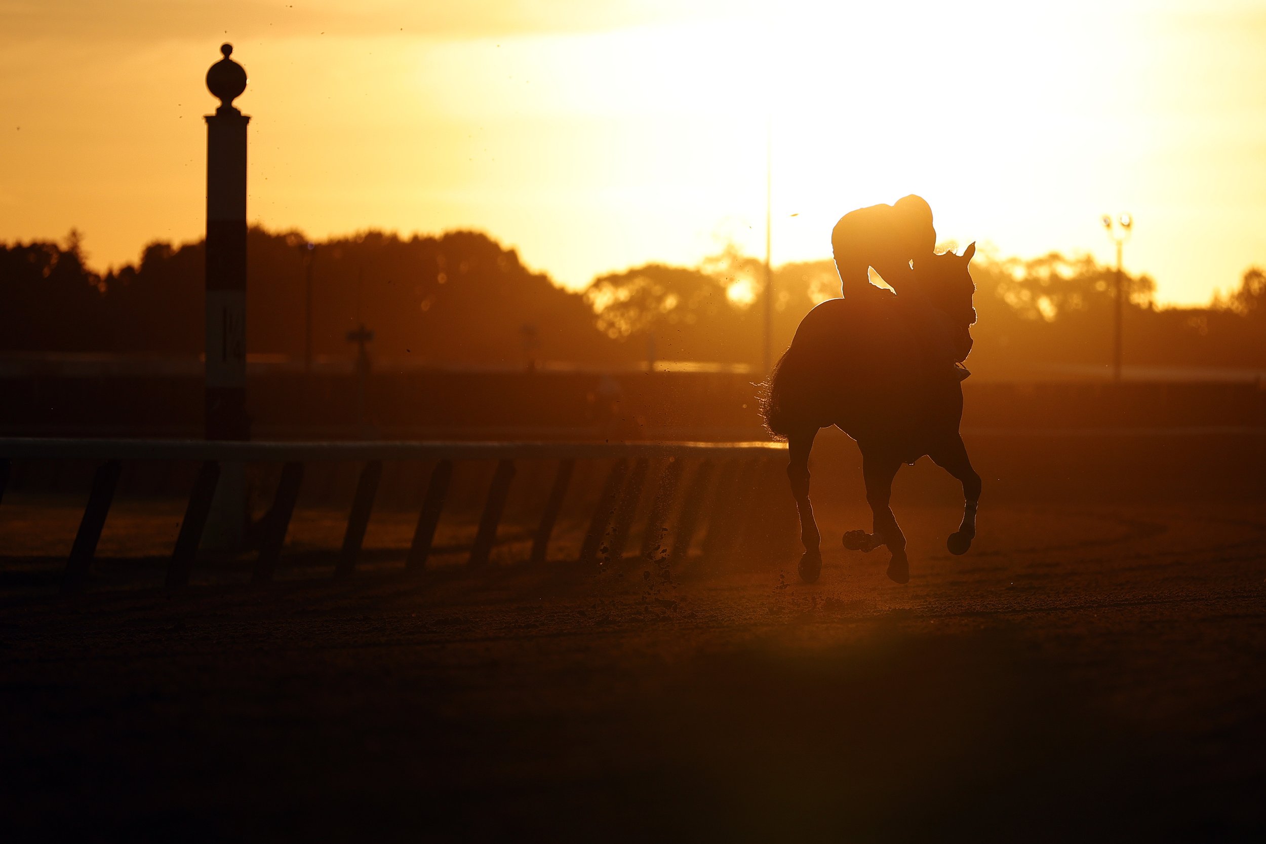  A horse and exercise rider train on the track during a morning workout prior to the 154th running of the Belmont Stakes at Belmont Park on June 07, 2022 in Elmont, New York. 