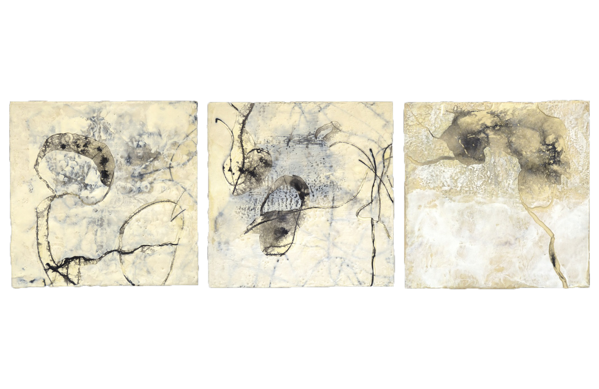 The White Series No. 1 (triptych)