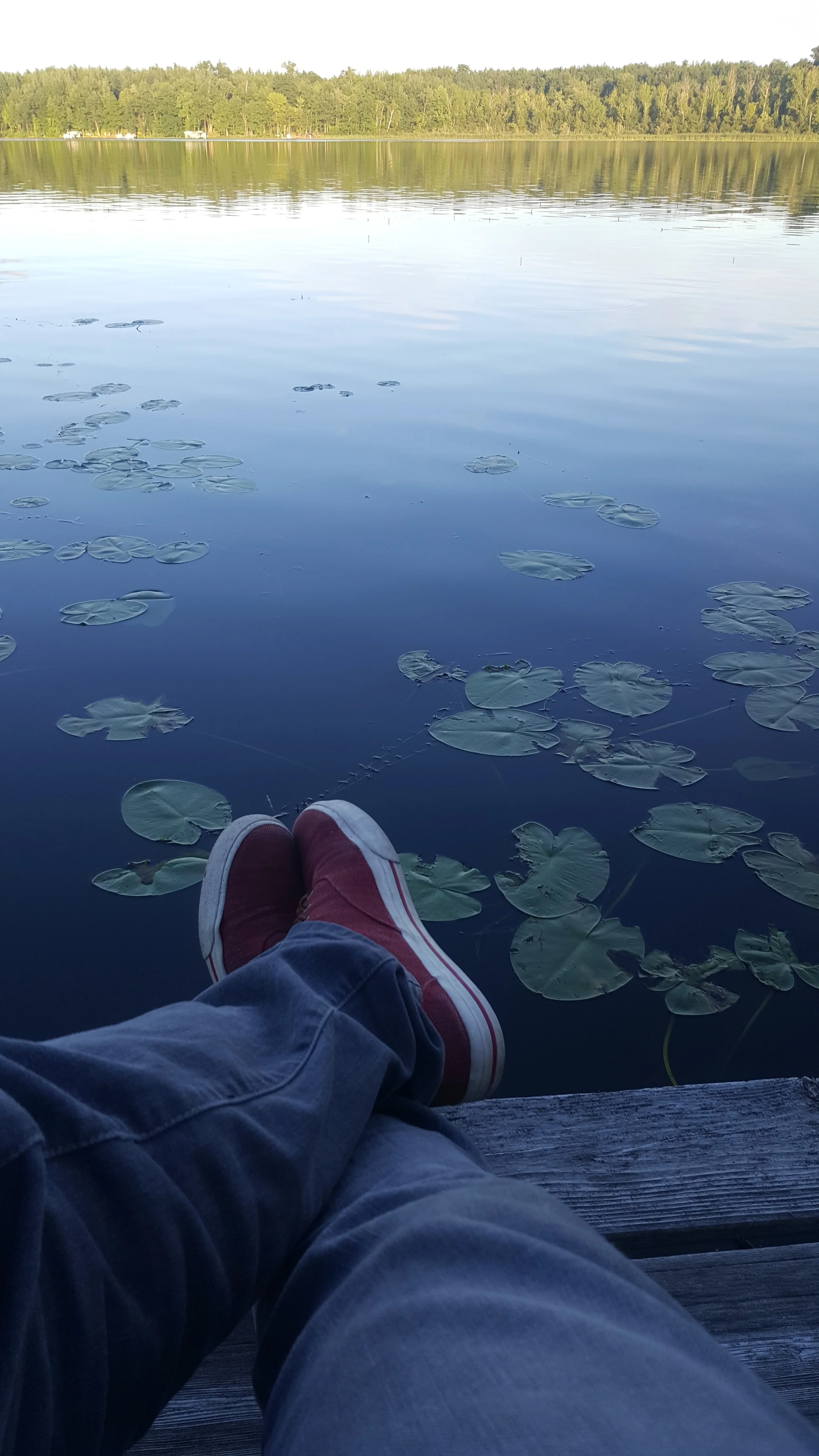 20160701_201206.jpg