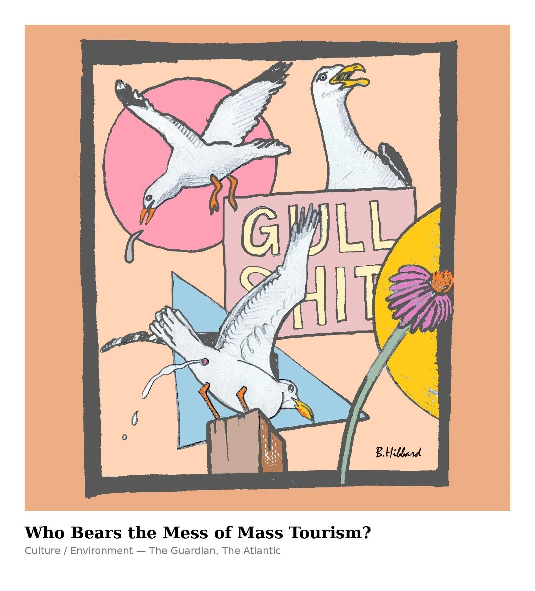 seagull trash toursim.jpg