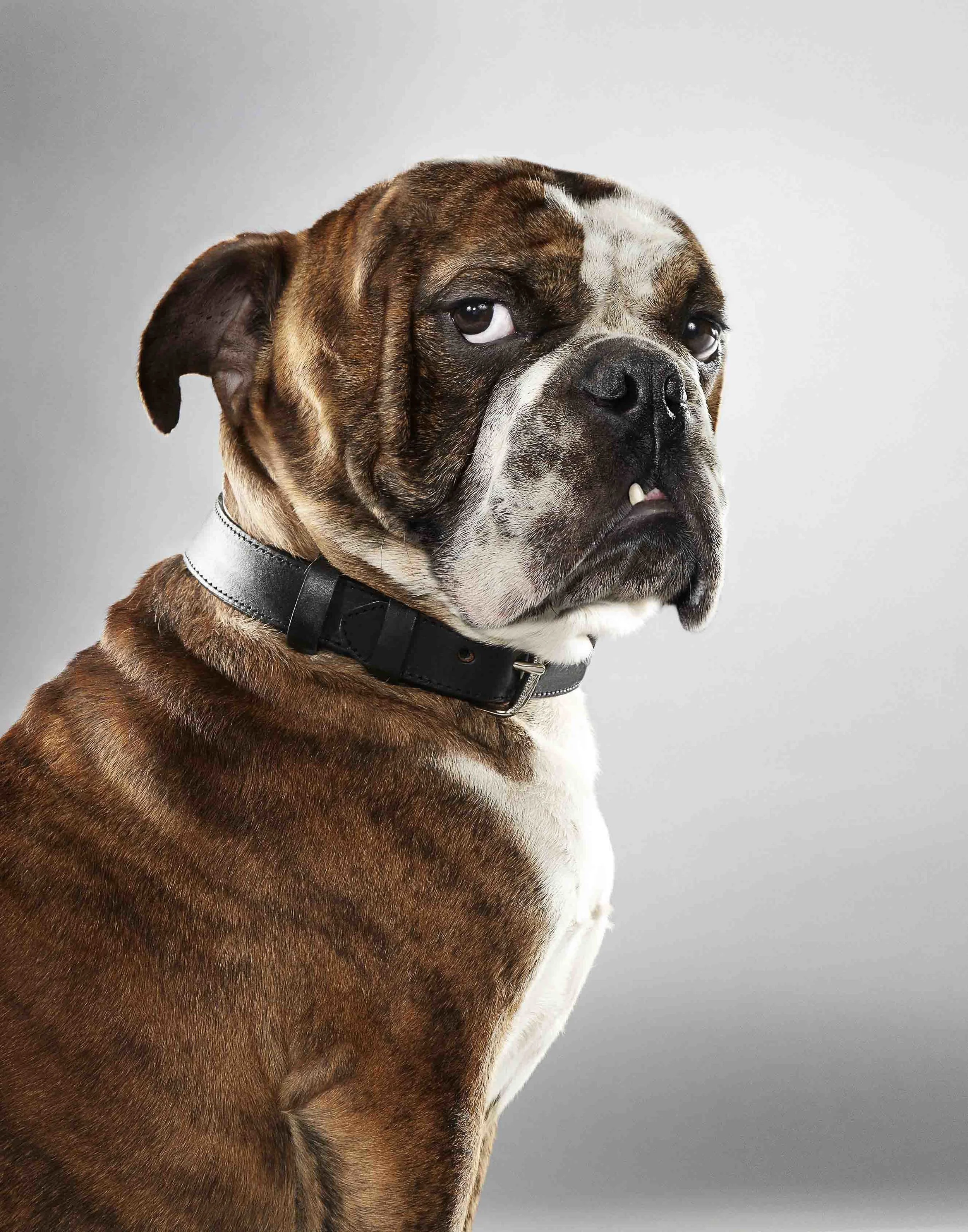 sersnip-read-1d copy copy copy.jpg