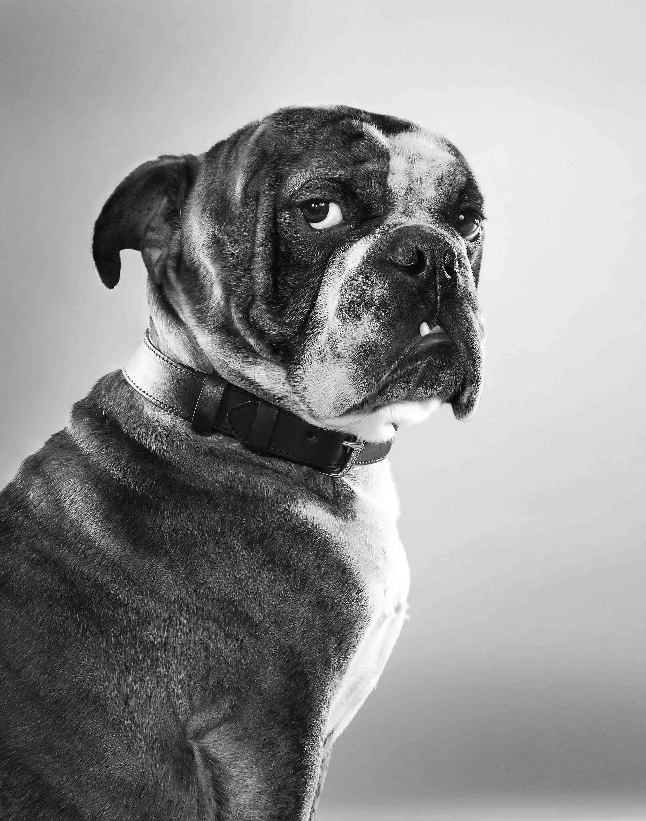 sersnip-read-1d copy copy copy.jpg