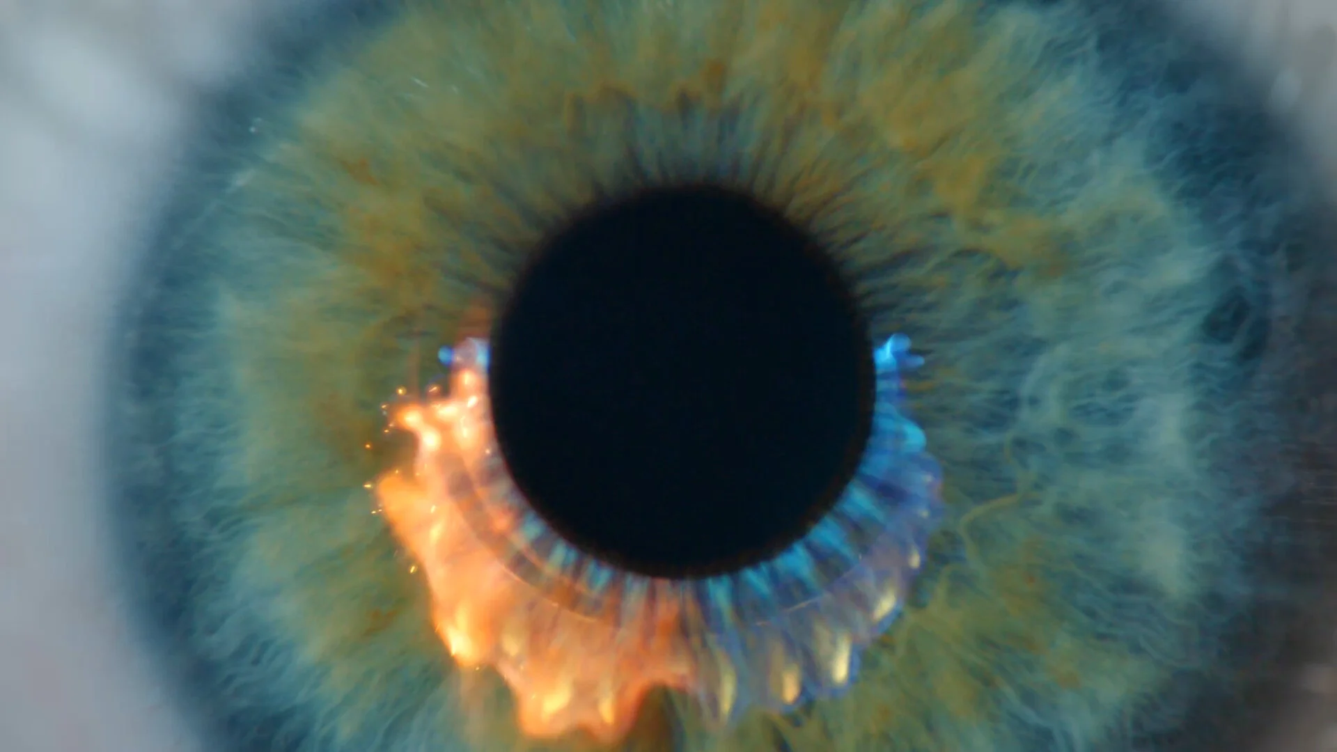 Alex K. Graham Reel - Food