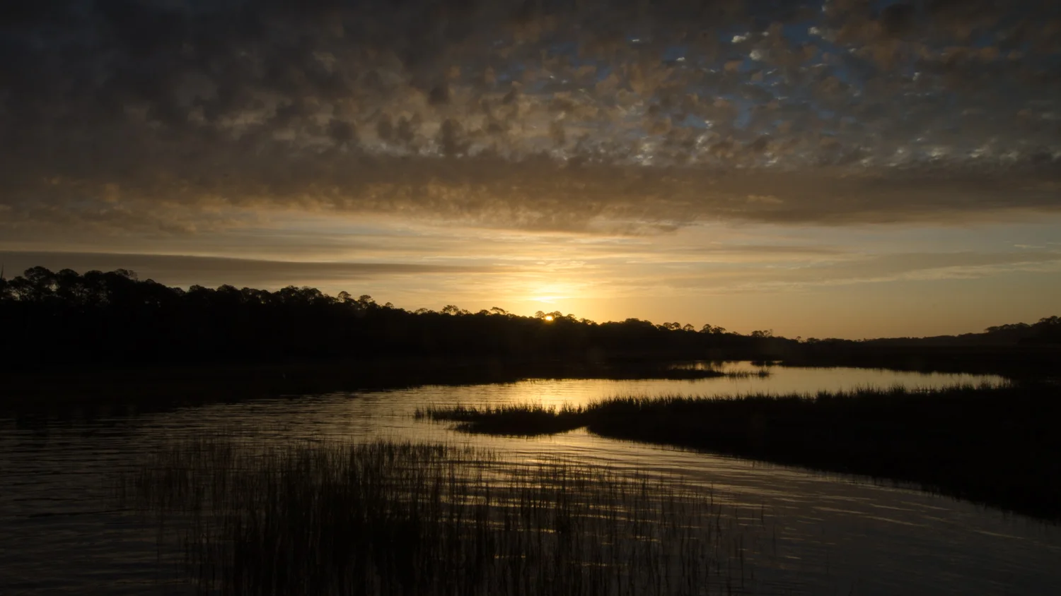 MARSH