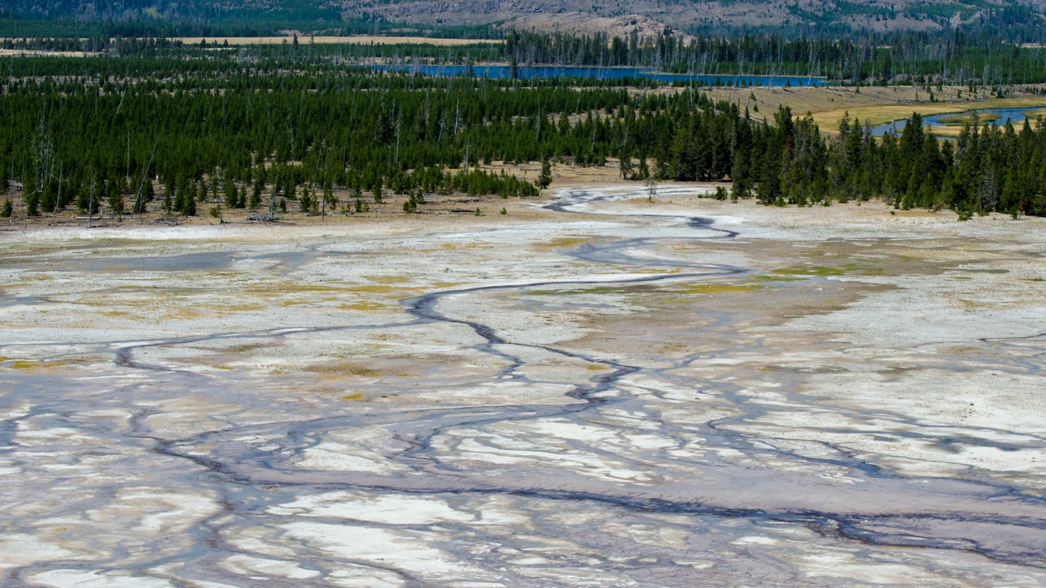 Grand-Prismatic-Spring-D7K-6767.jpg