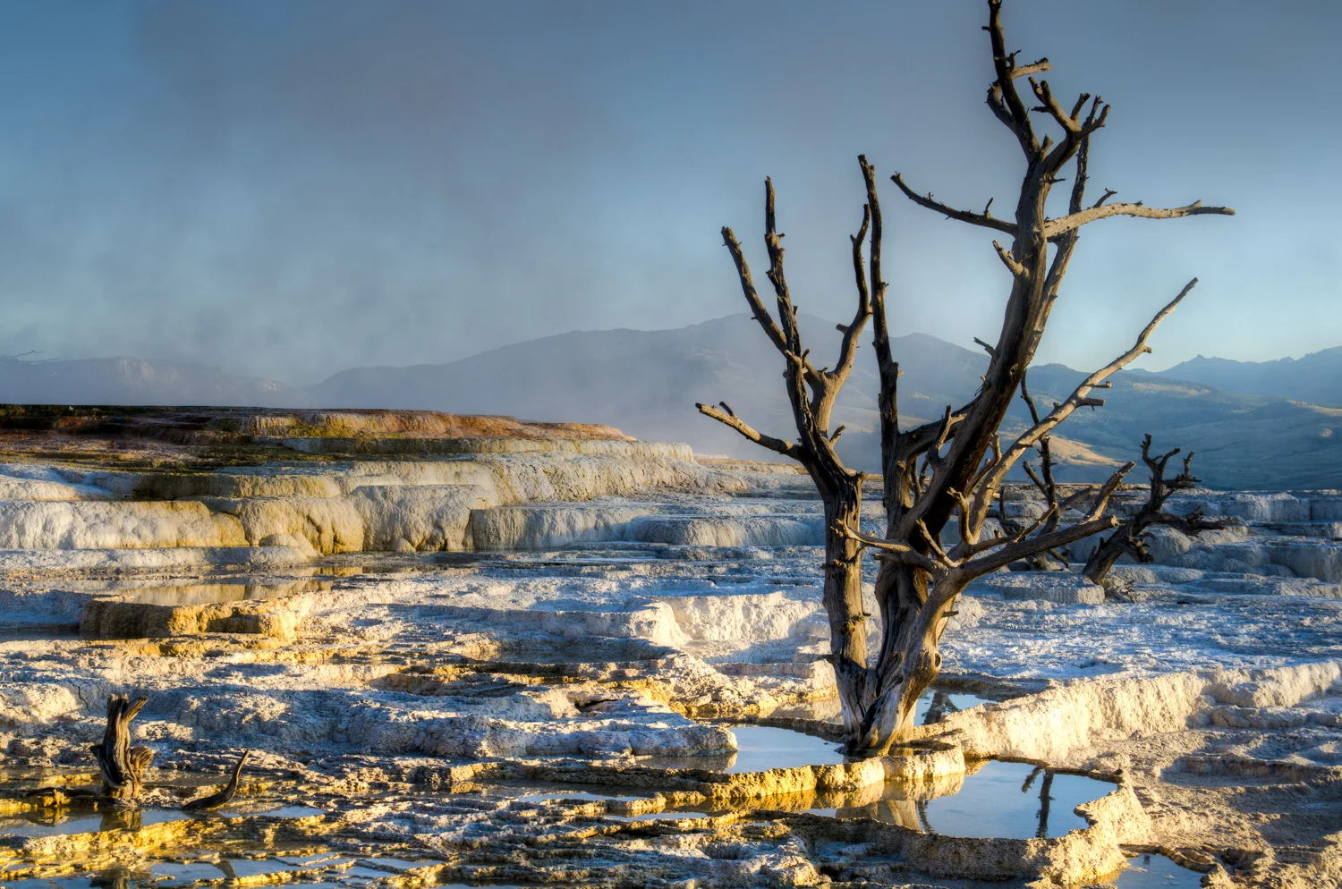 Mammoth-Hot-Springs-6002_3_4.jpg