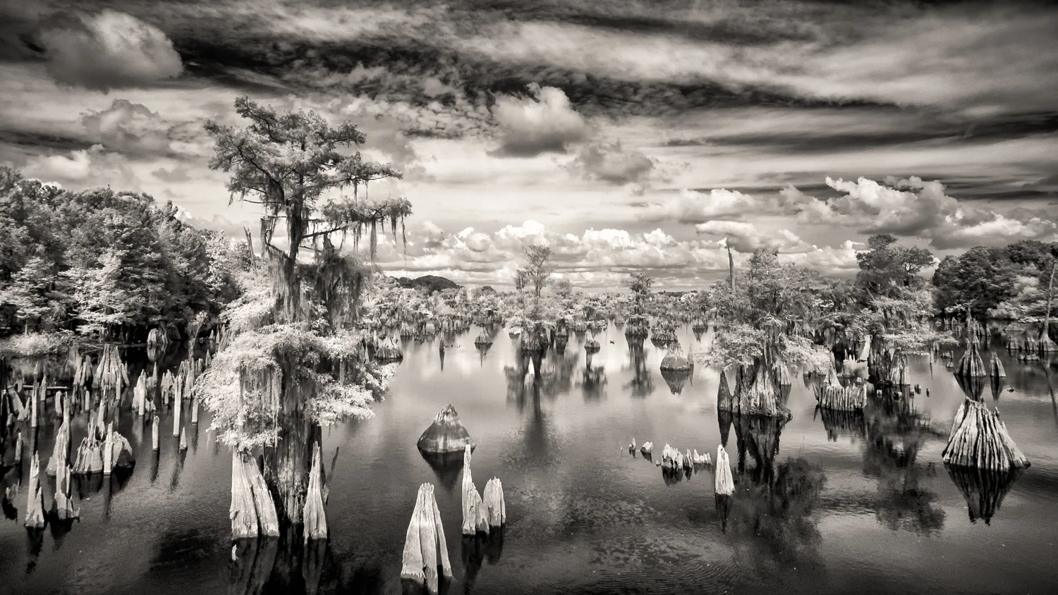 DEAD LAKES