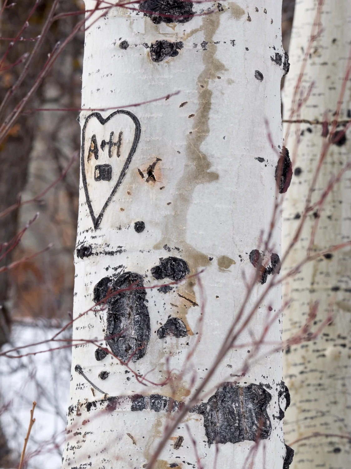 ASPEN