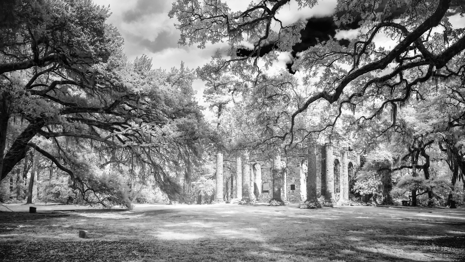 Old Sheldon Church Ruins